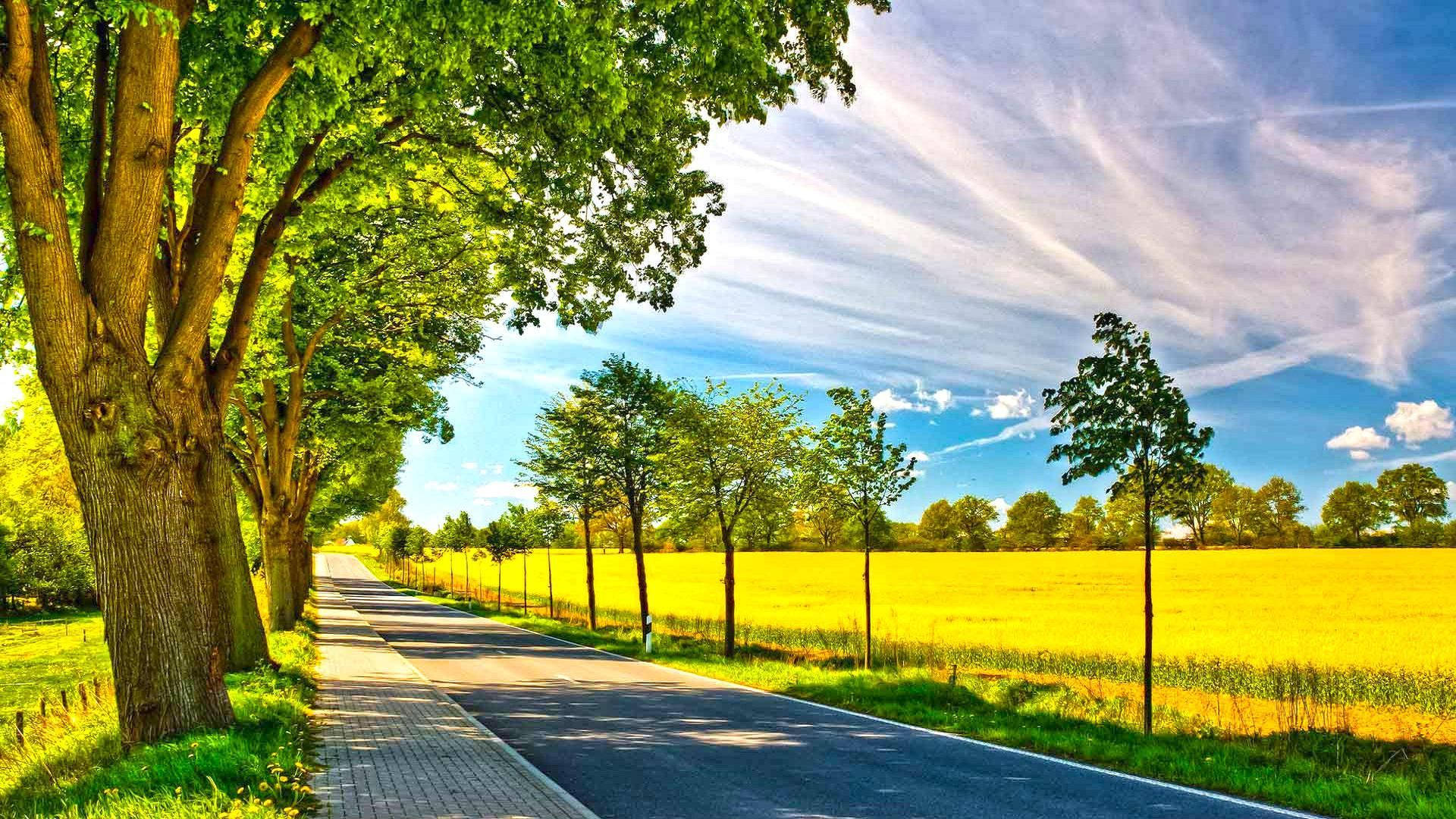 Sunshine, country road, lush green trees, Full HD Desktop Wallpaper