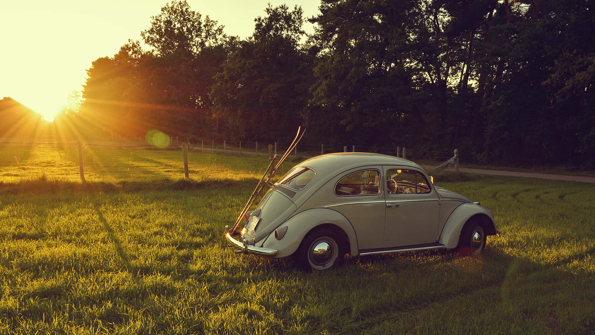 vintage silver Volkswagen Beetle, sunlit grassy field, sunset, Full HD Desktop Wallpaper