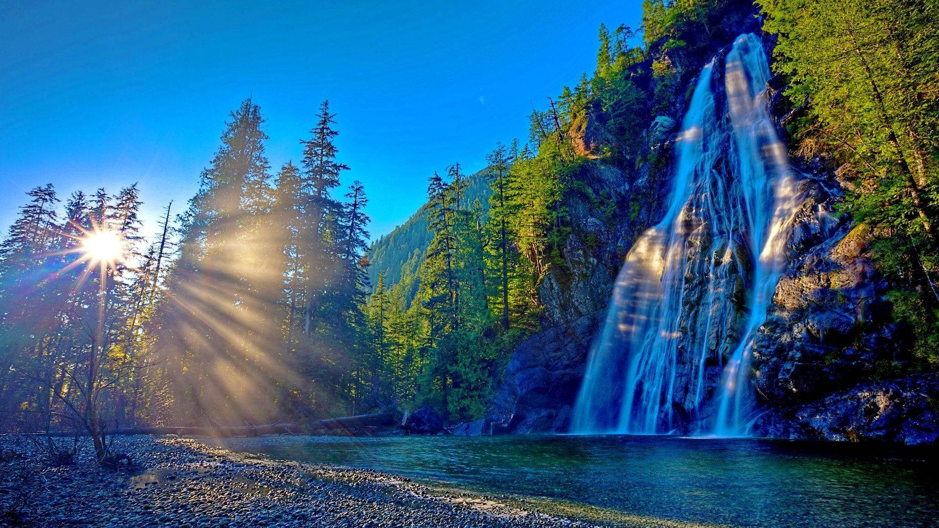 Sunshine, sunlight beams, trees, Full HD Desktop Wallpaper