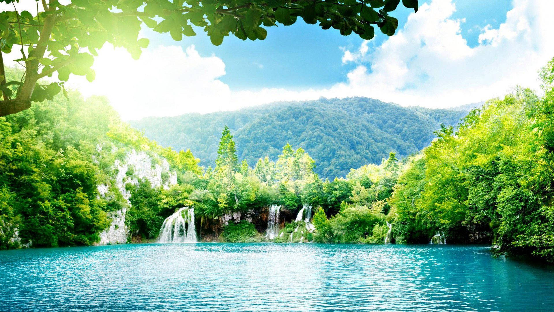 Sunshine, lush green trees, turquoise lake, Full HD Desktop Wallpaper