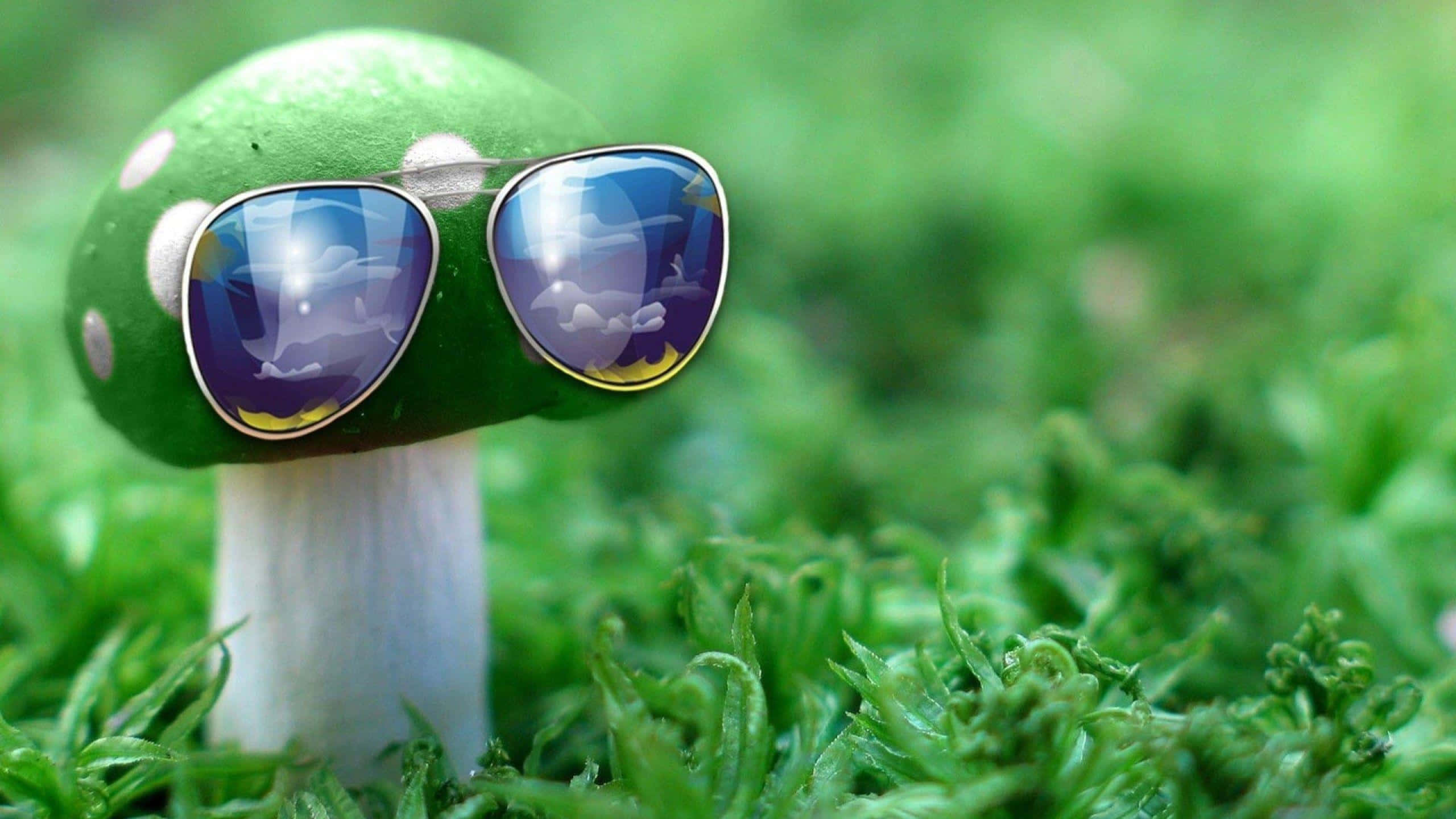 whimsical green mushroom, sunglasses, dreamy sky, 2K Desktop Wallpaper
