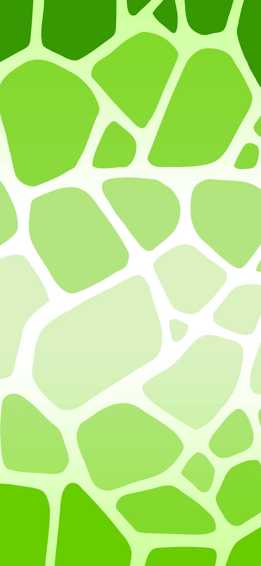 Super Light Green, cow print, giraffe skin, HD Phone Wallpaper