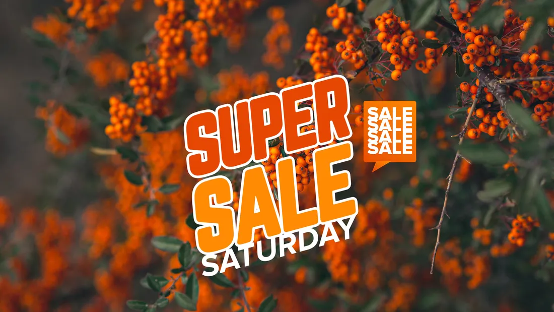 Super Saturday