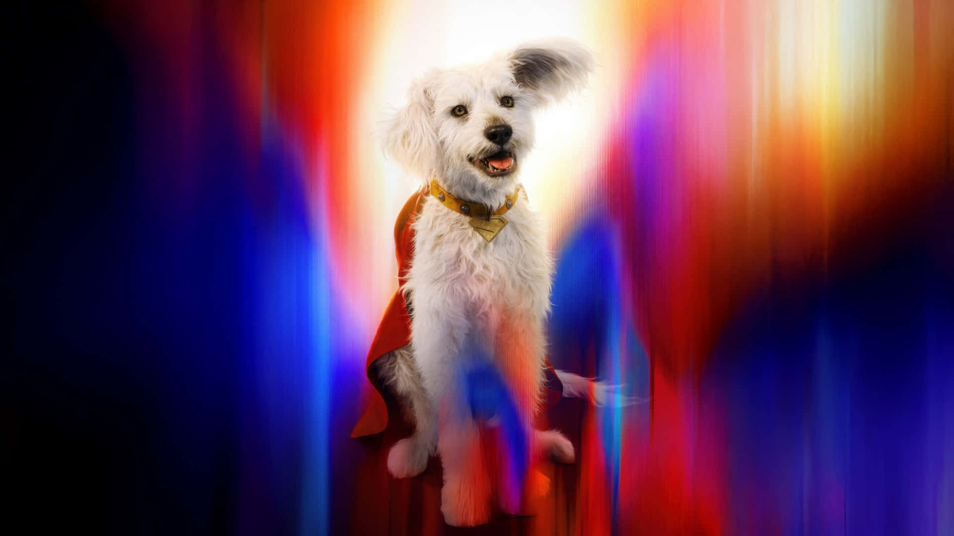 Superman, fluffy white dog, red cape, Full HD Desktop Wallpaper