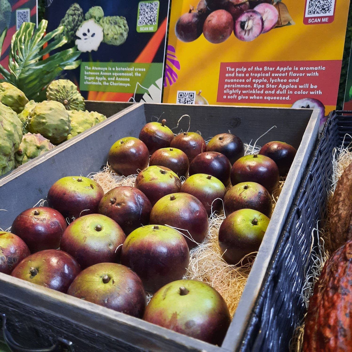 star apple, wooden crate, straw, HD Desktop Wallpaper