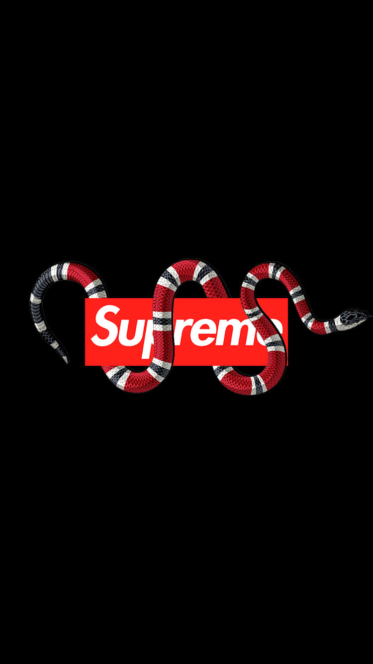 Supreme, Gucci, red white and black striped snake, HD Phone Wallpaper
