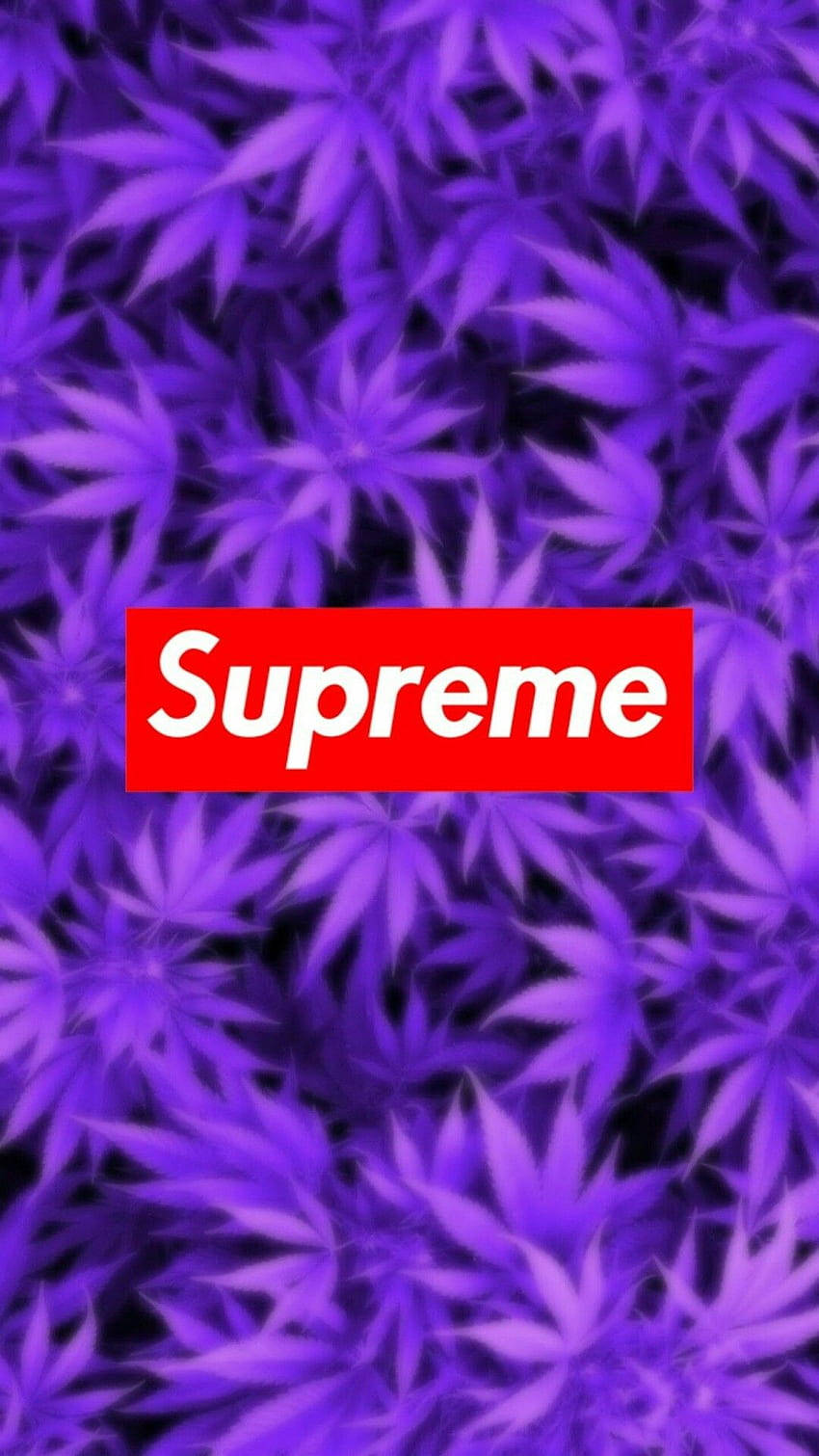 Supreme, red Supreme logo, vibrant purple cannabis leaves, HD Phone Wallpaper