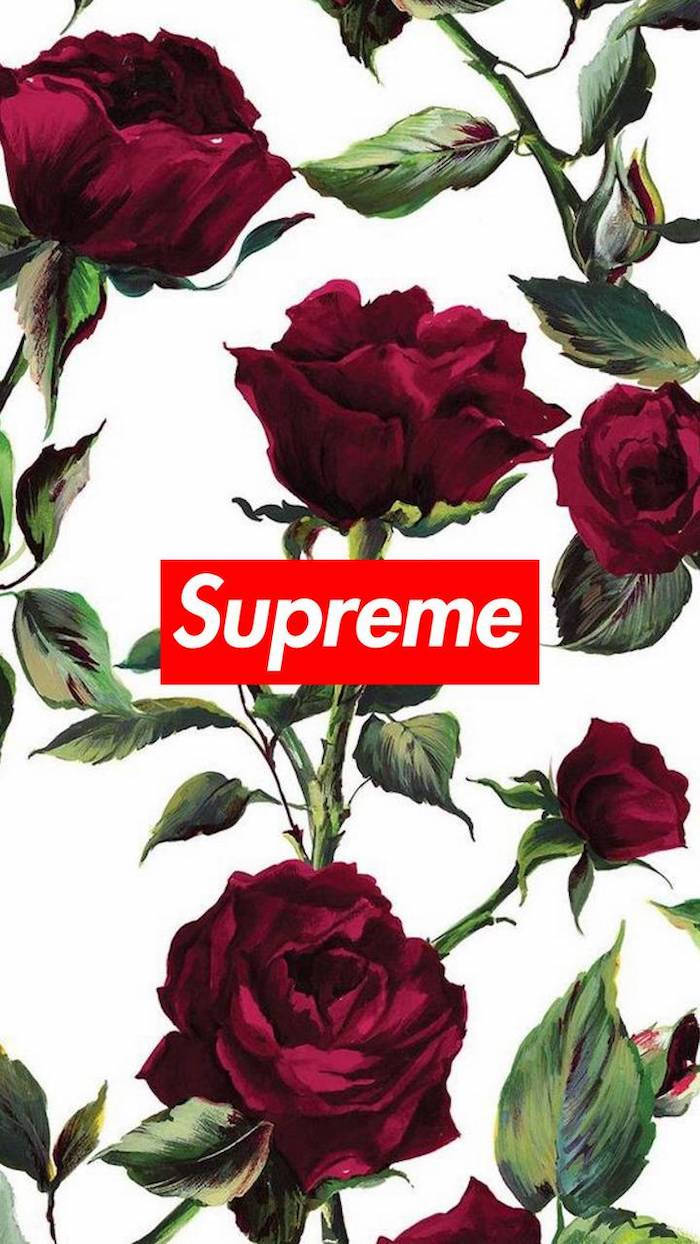 Supreme Logo, red roses, green leaves, SD Phone Wallpaper