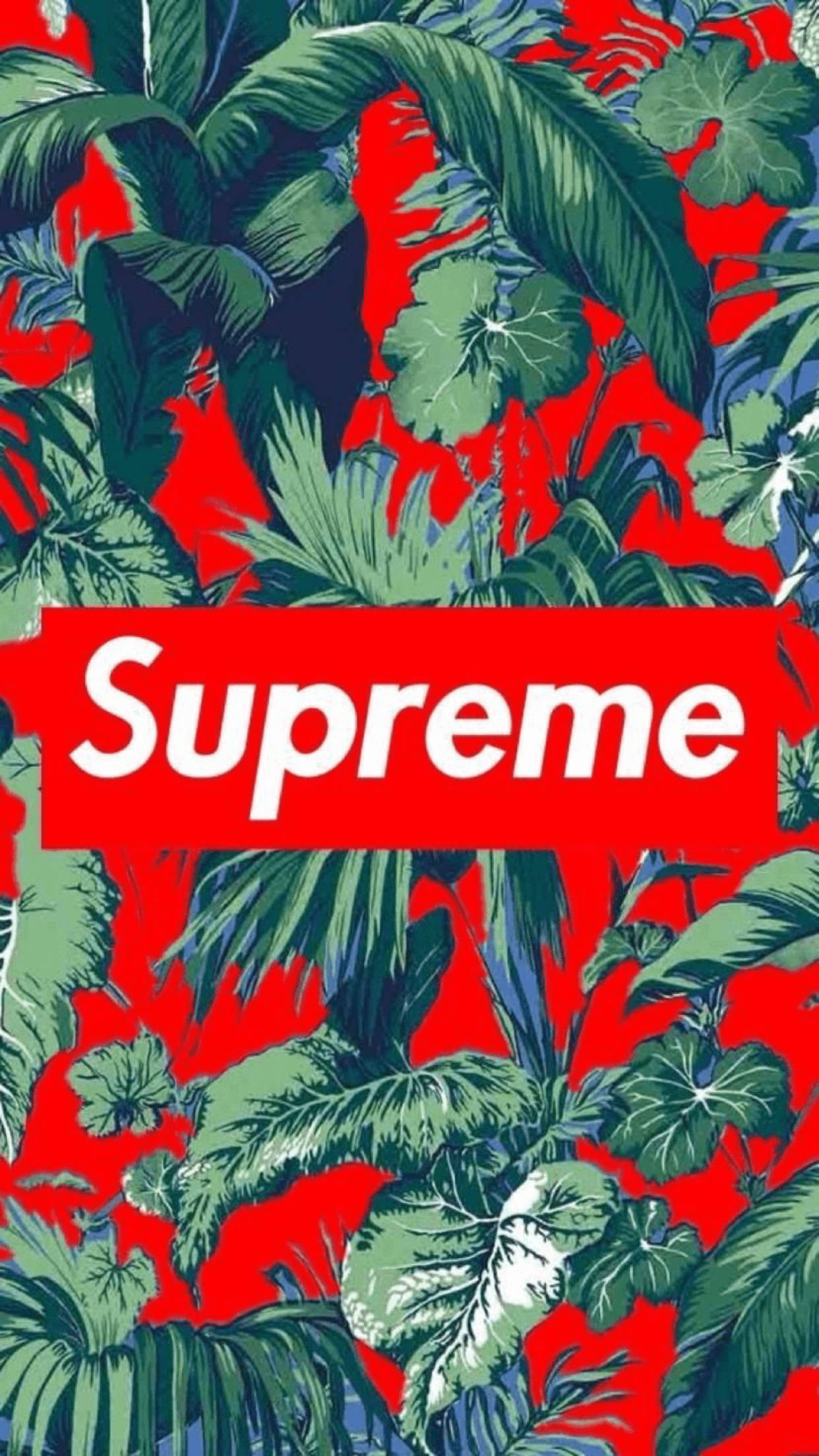 Supreme, red background, lush green tropical leaves, Full HD Phone Wallpaper