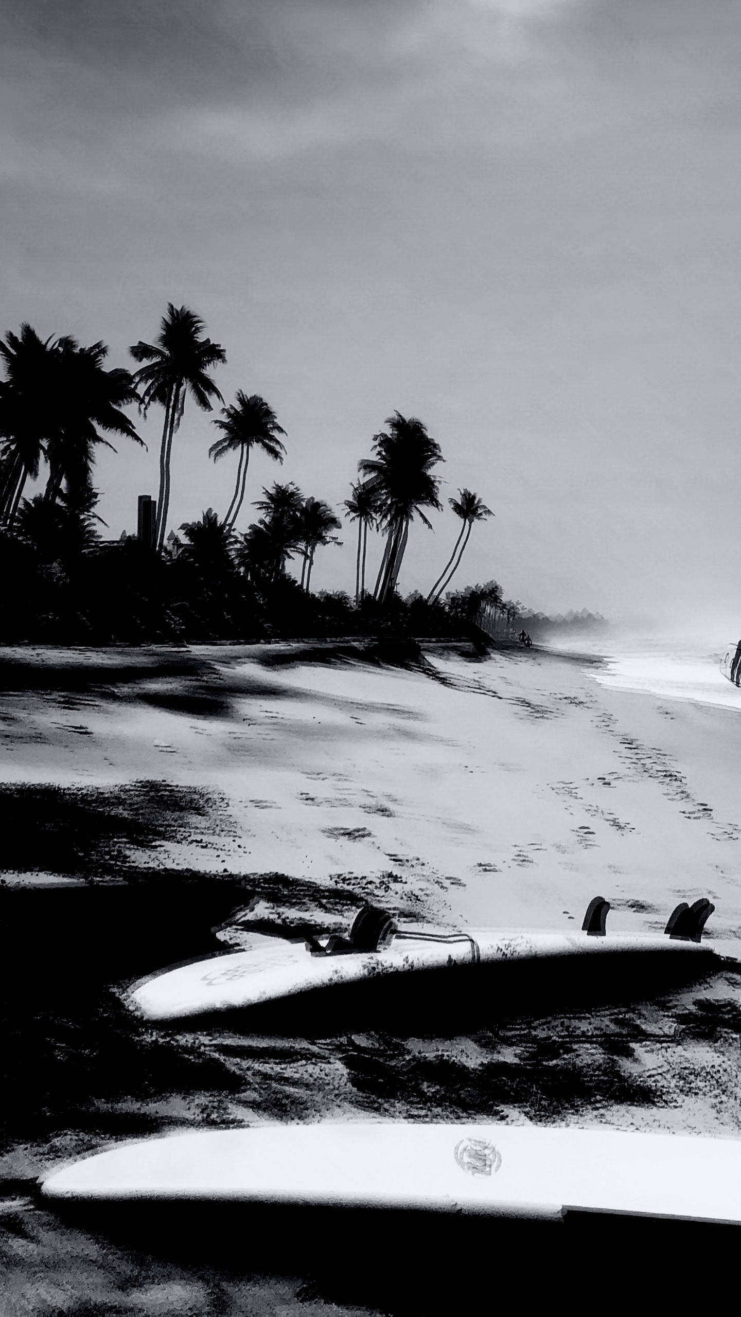 surfboards, misty beach, palm trees, 2K Phone Wallpaper