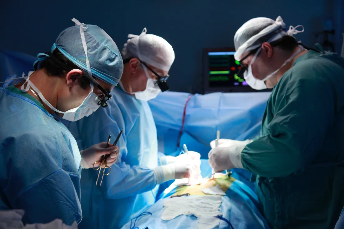Surgeon