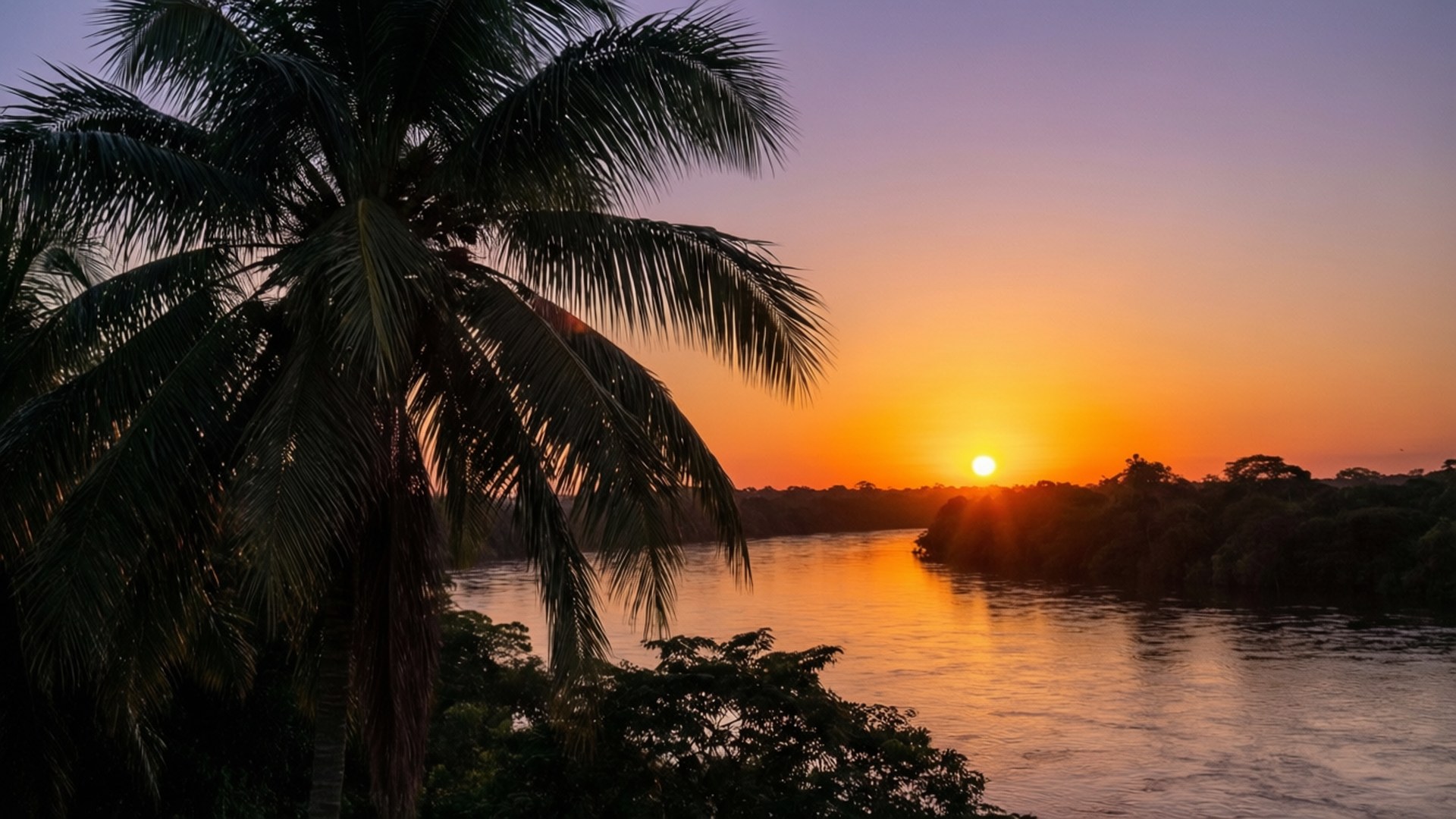 Suriname River, sunset, palm tree silhouettes, Full HD Desktop Wallpaper