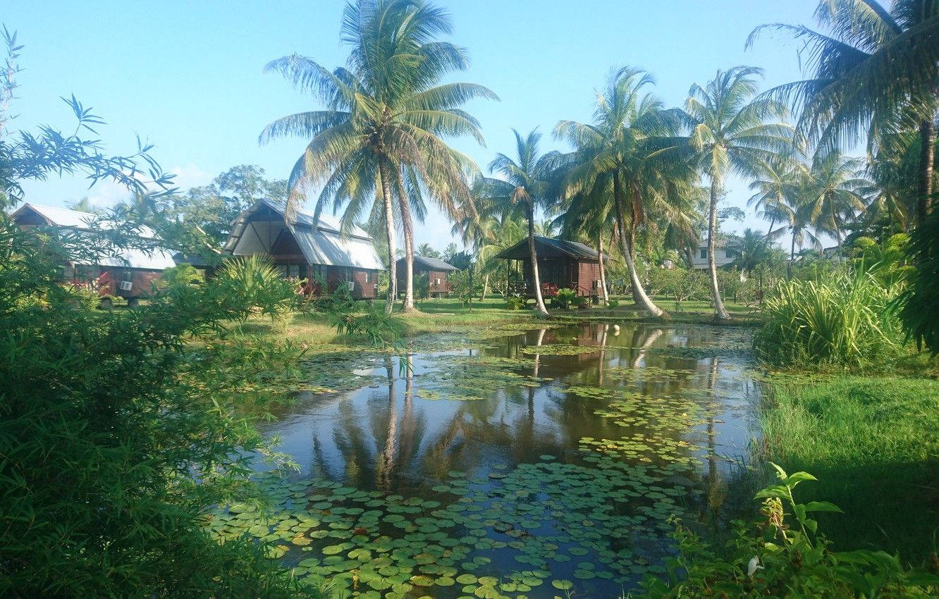Suriname, swamp, tropical resort cabins, HD Desktop Wallpaper