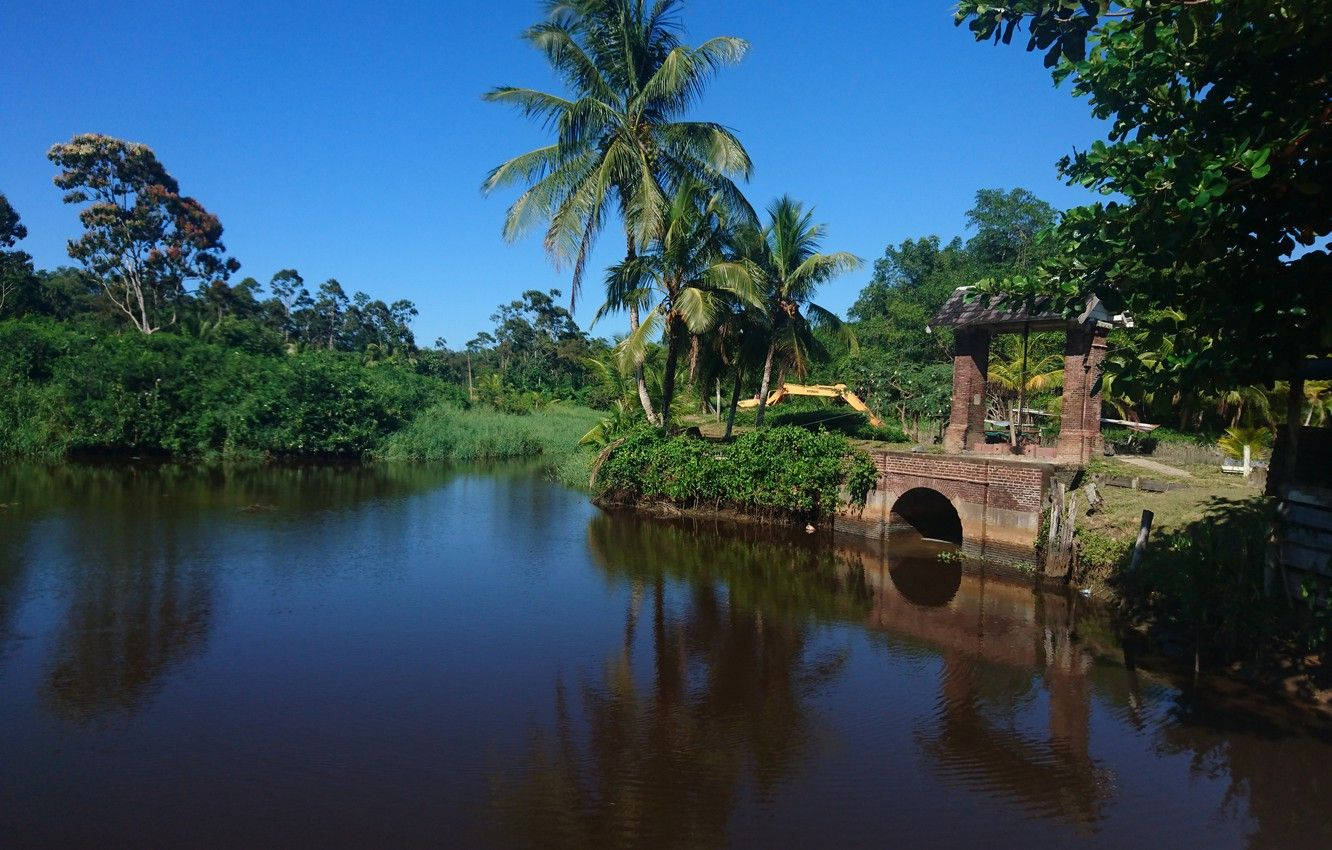 Suriname, dark river, rustic stone bridge, HD Desktop Wallpaper