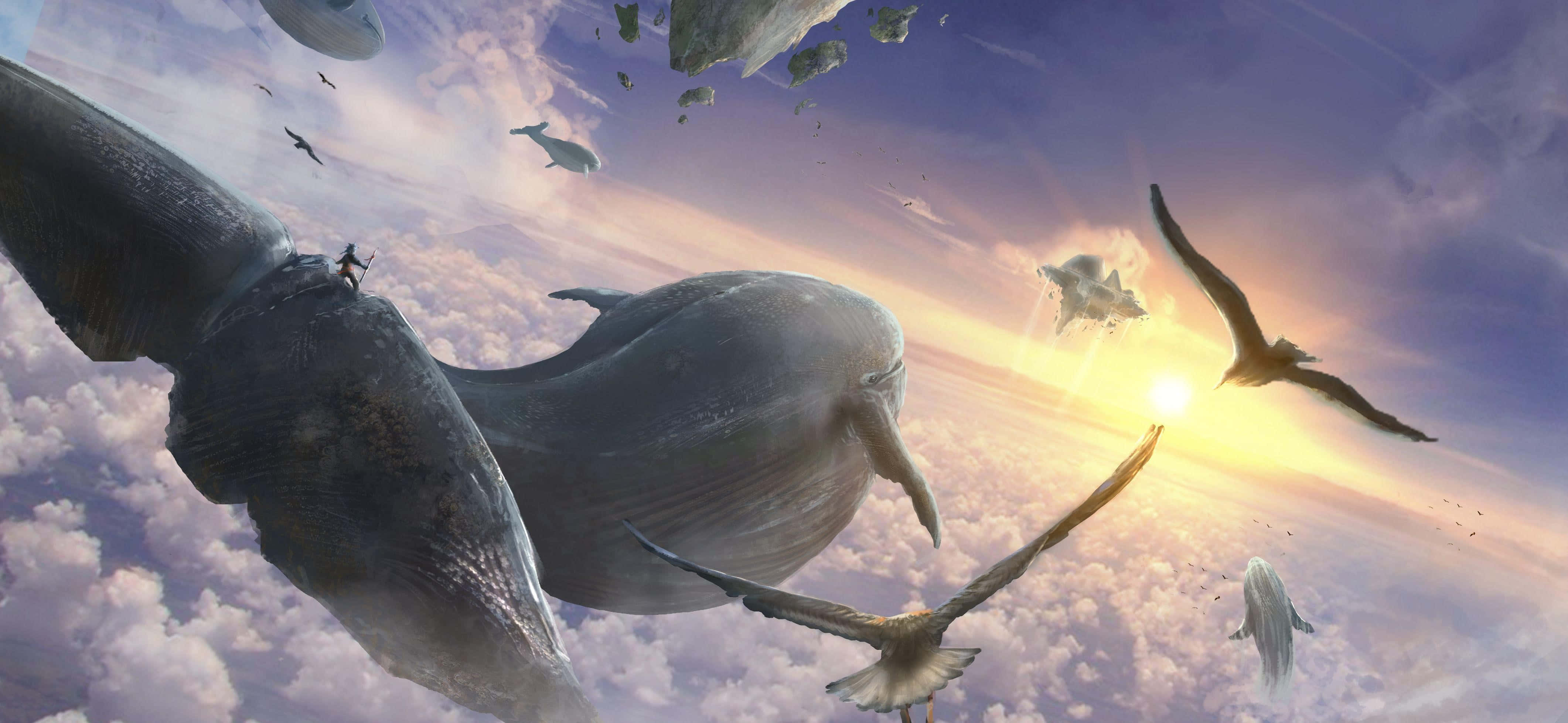 colossal whale, sunset sky, birds, 4K Desktop Wallpaper