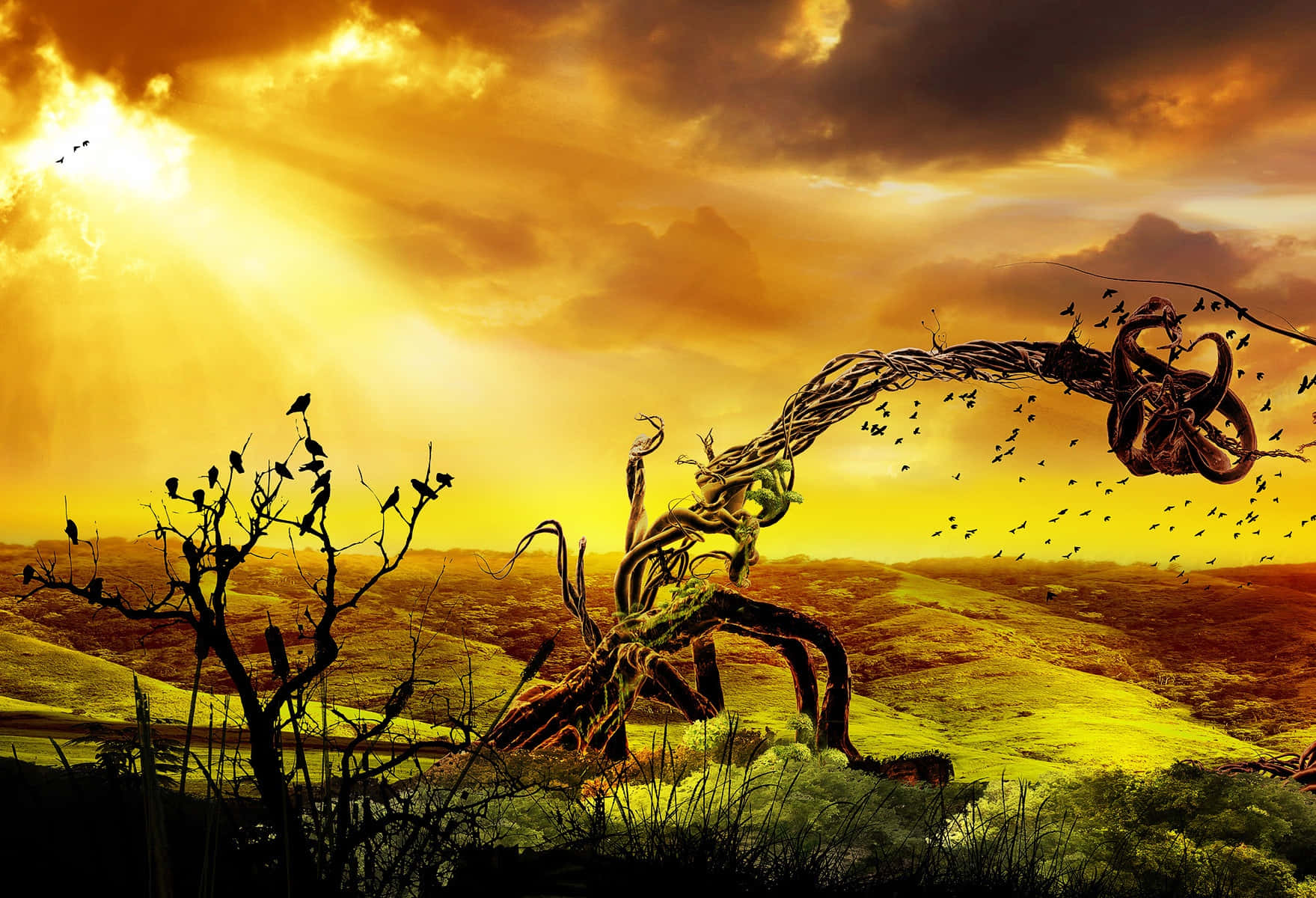 surreal golden sunset, twisted tree roots, monstrous figure, HD Desktop Wallpaper