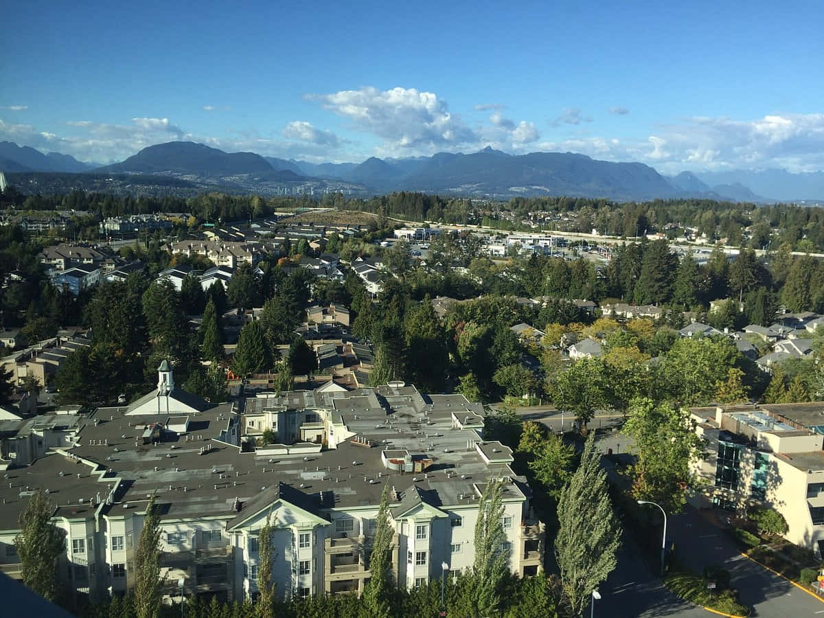 Surrey Canada, suburban rooftops, trees, SD Desktop Wallpaper