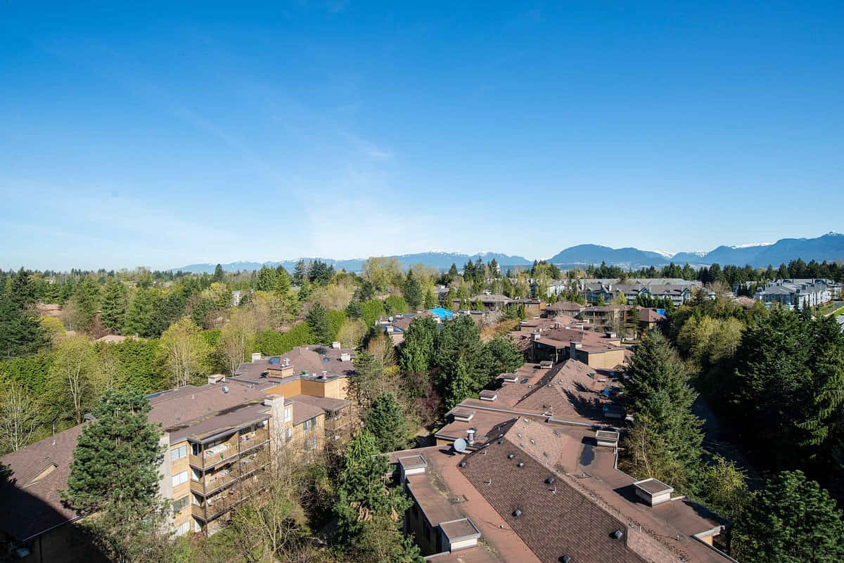 Surrey, suburban rooftops, lush green trees, SD Desktop Wallpaper