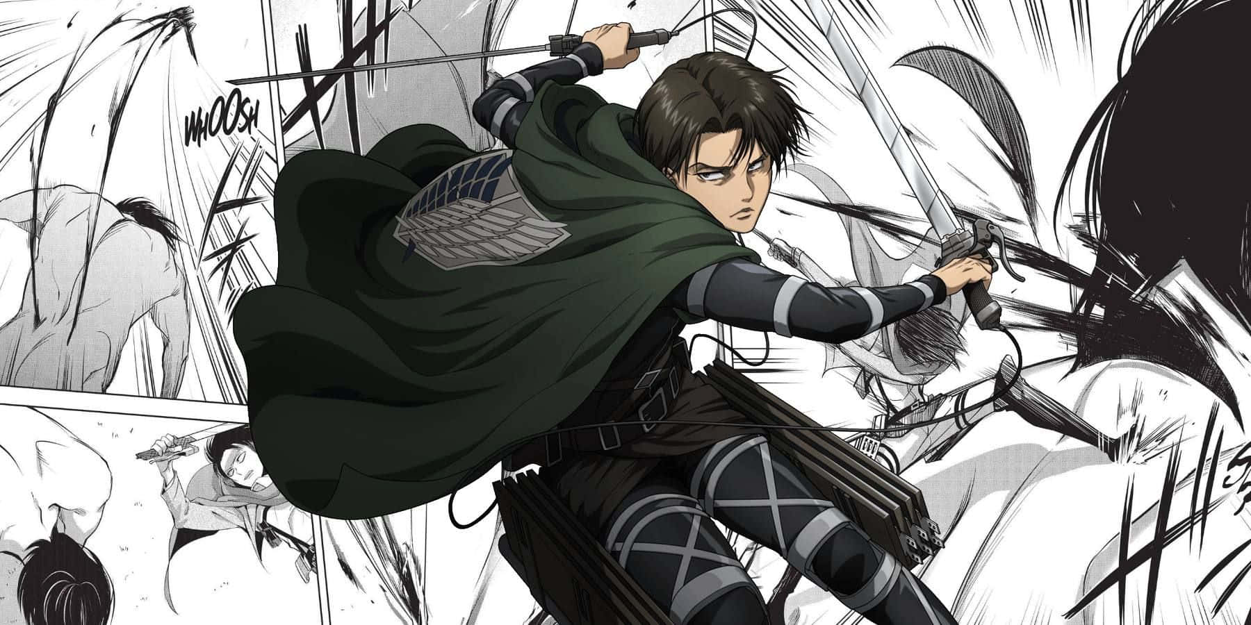 Survey Corps, green cloak, dual swords, HD Desktop Wallpaper