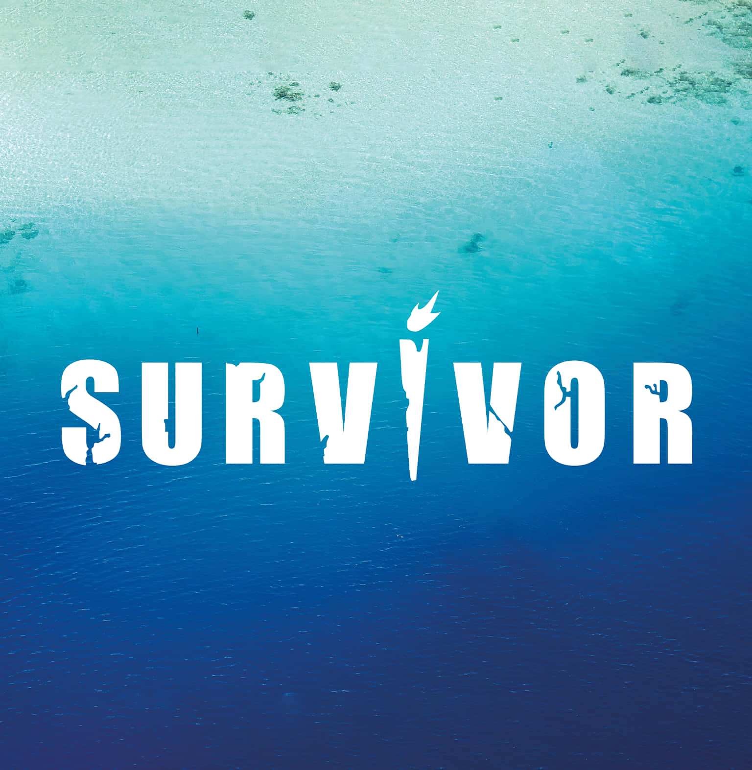 SURVIVOR, torch, white letters, HD Phone Wallpaper