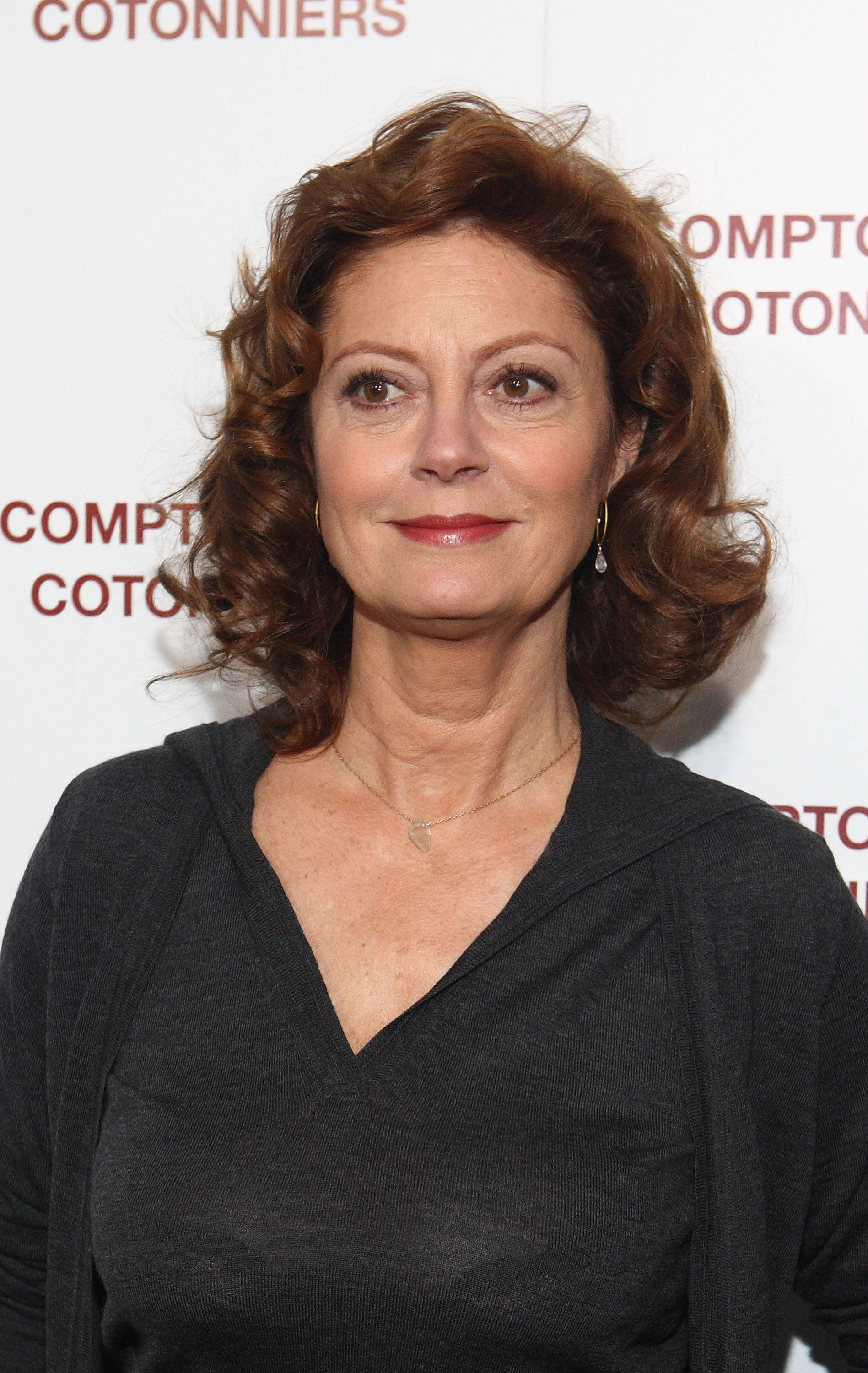 Susan Sarandon, award winning actress, curly auburn hair, 2K Phone Wallpaper