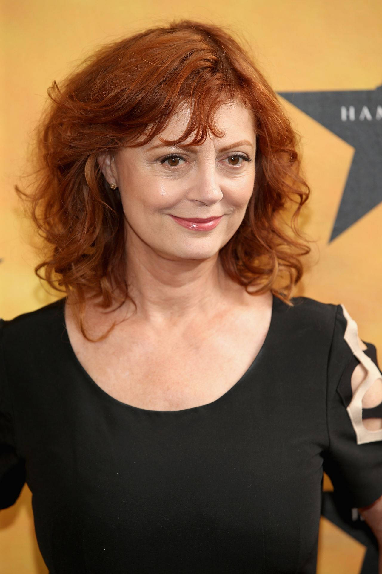 2013 Toronto International Film Festival, Susan Sarandon, black dress, Full HD Phone Wallpaper