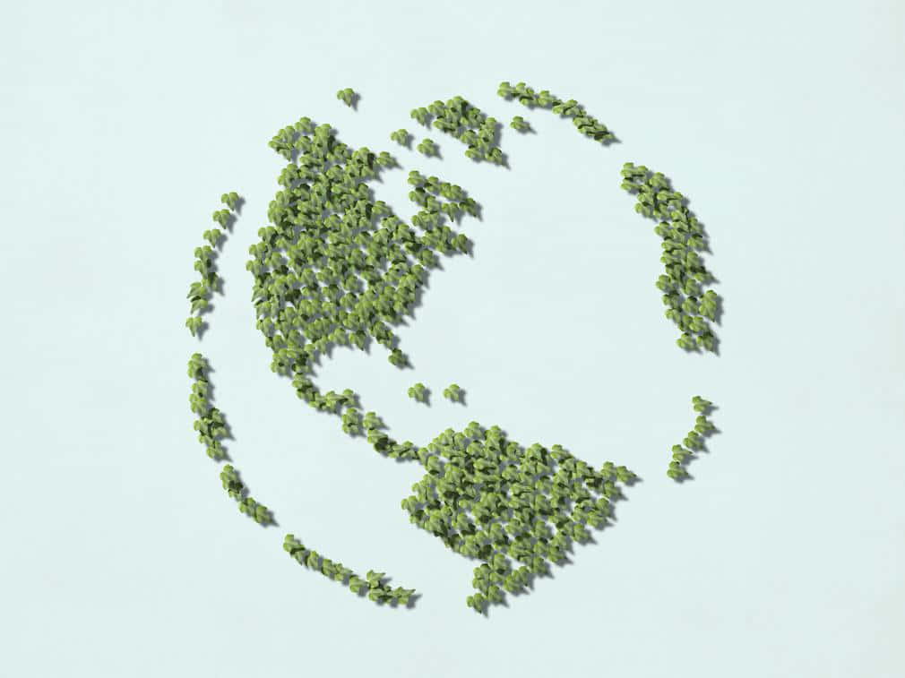 Sustainability Map, globe, green leaves, SD Desktop Wallpaper