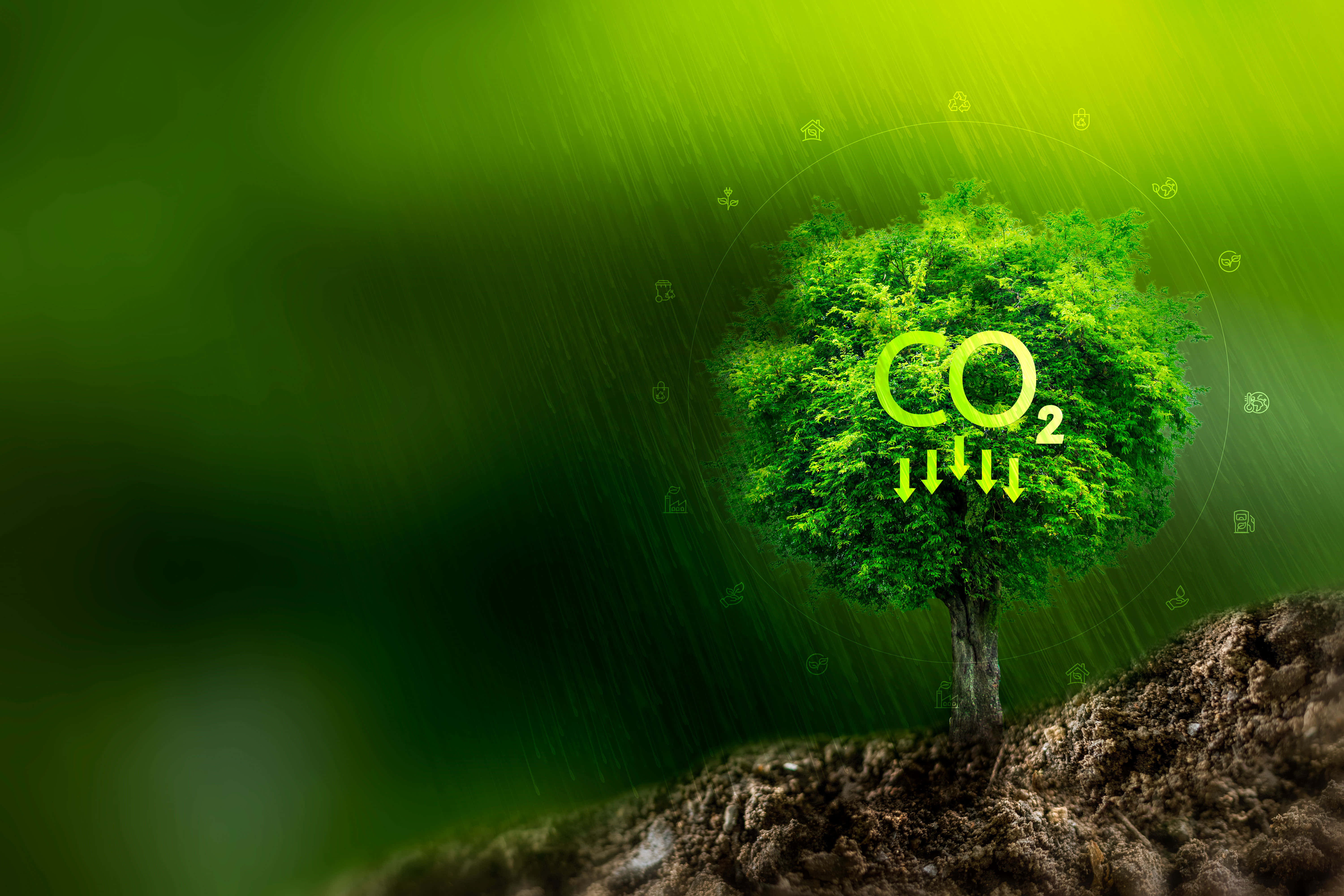 Sustainability CO2 Tree, vibrant green tree, CO2 symbols, 5K Desktop Wallpaper