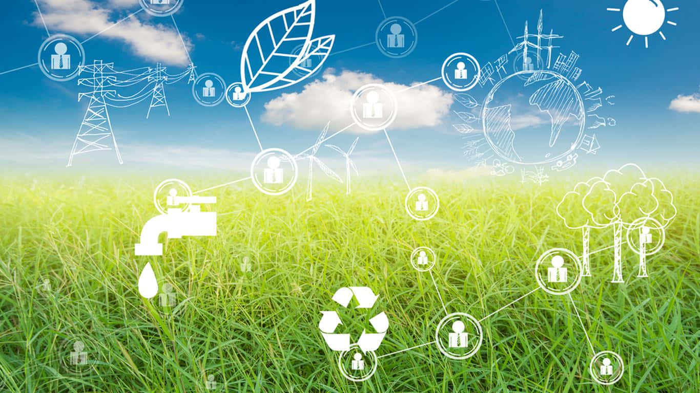 green grass field, blue sky, white eco-icons, HD Desktop Wallpaper