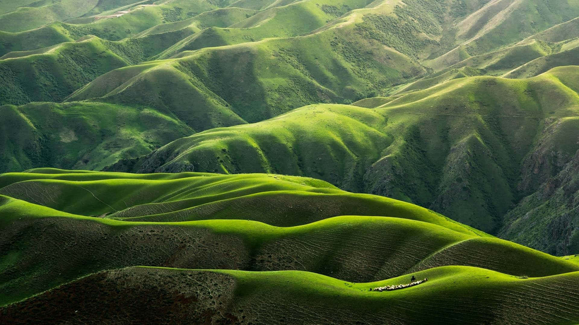 Sustainability Hills, rolling emerald hills, golden sunlight, Full HD Desktop Wallpaper