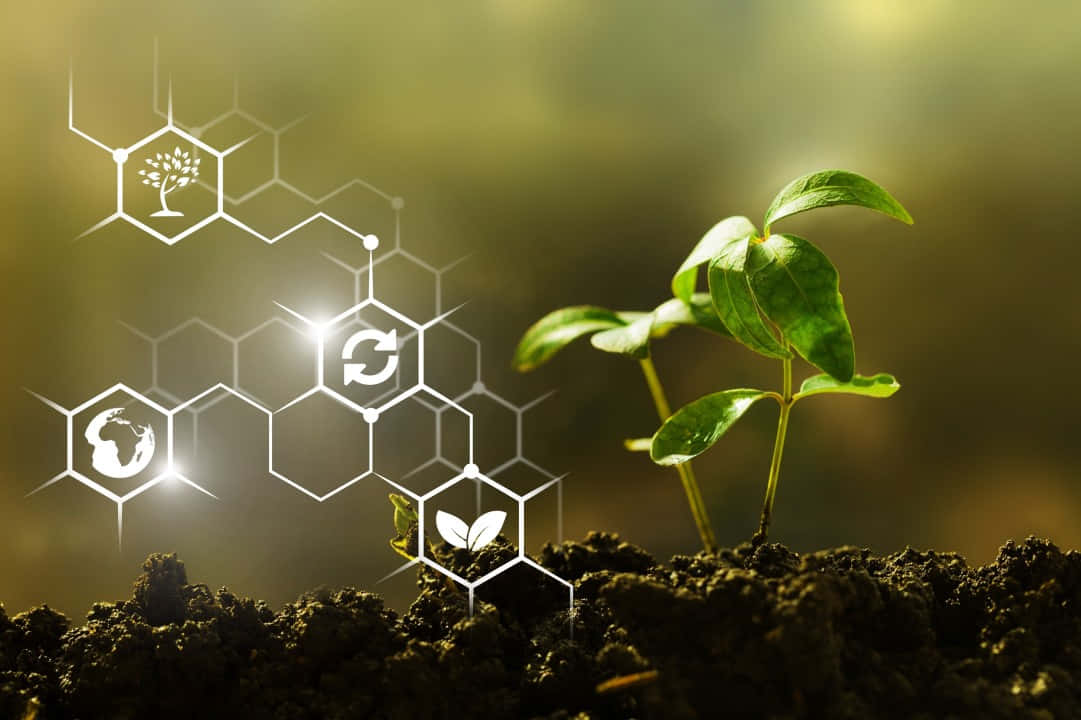 Sustainability Grid, vibrant green seedling, rich soil, SD Desktop Wallpaper