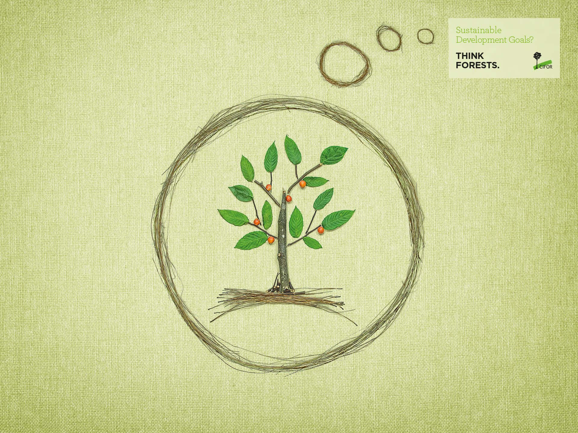 Sustainability, tree, green leaves, Full HD Desktop Wallpaper