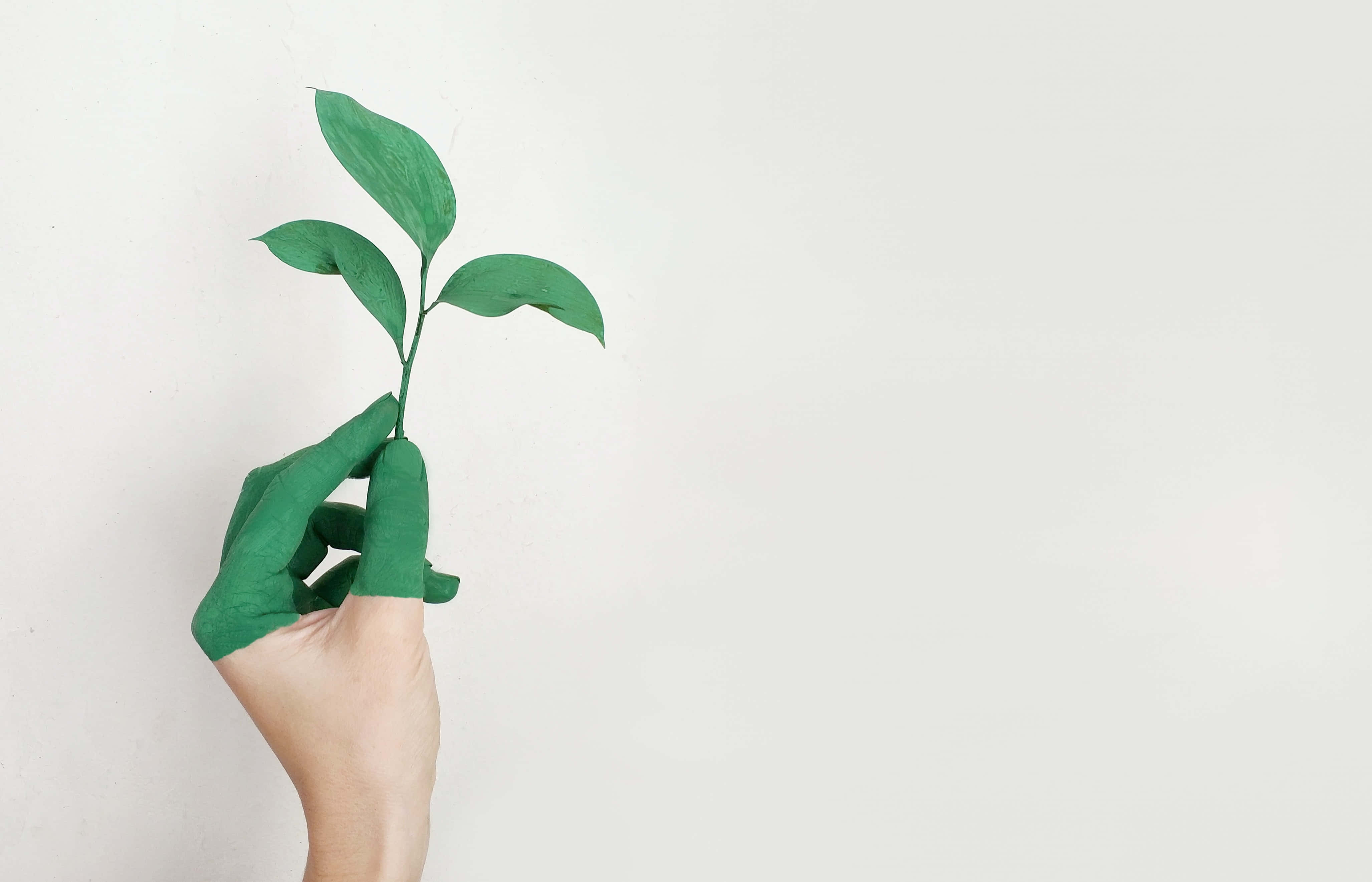 Sustainability, green fingers, green paint, 4K Desktop Wallpaper