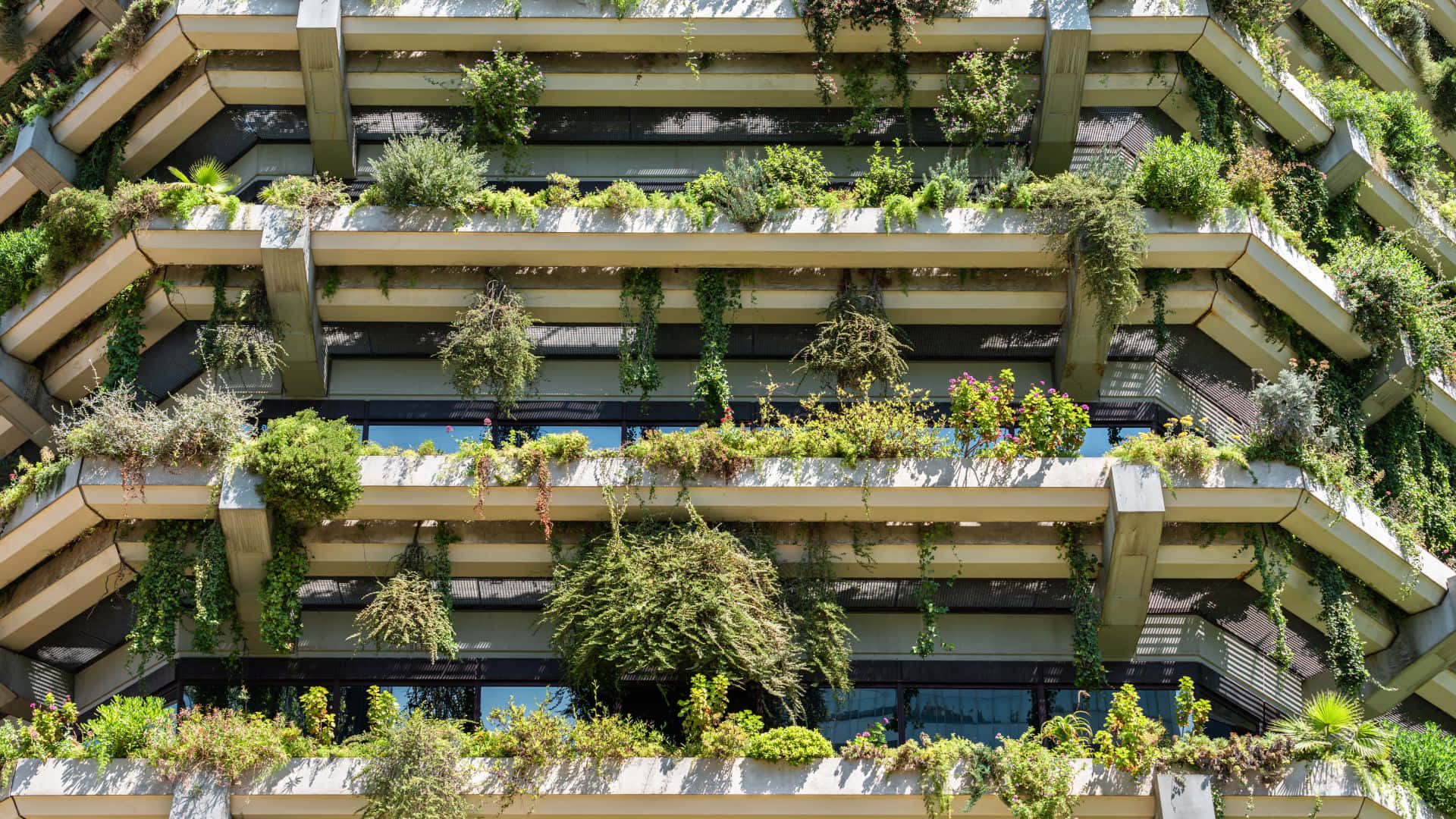 green buildings, modern building facade, lush green plants, Full HD Desktop Wallpaper