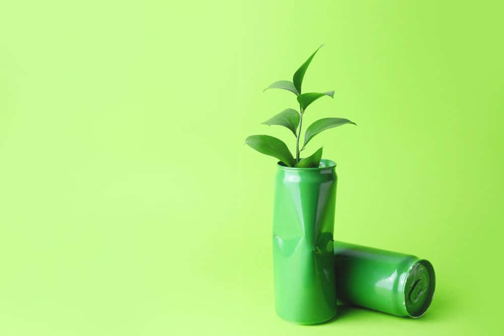 vibrant green sprout, crushed green soda can, solid lime green background, SD Desktop Wallpaper