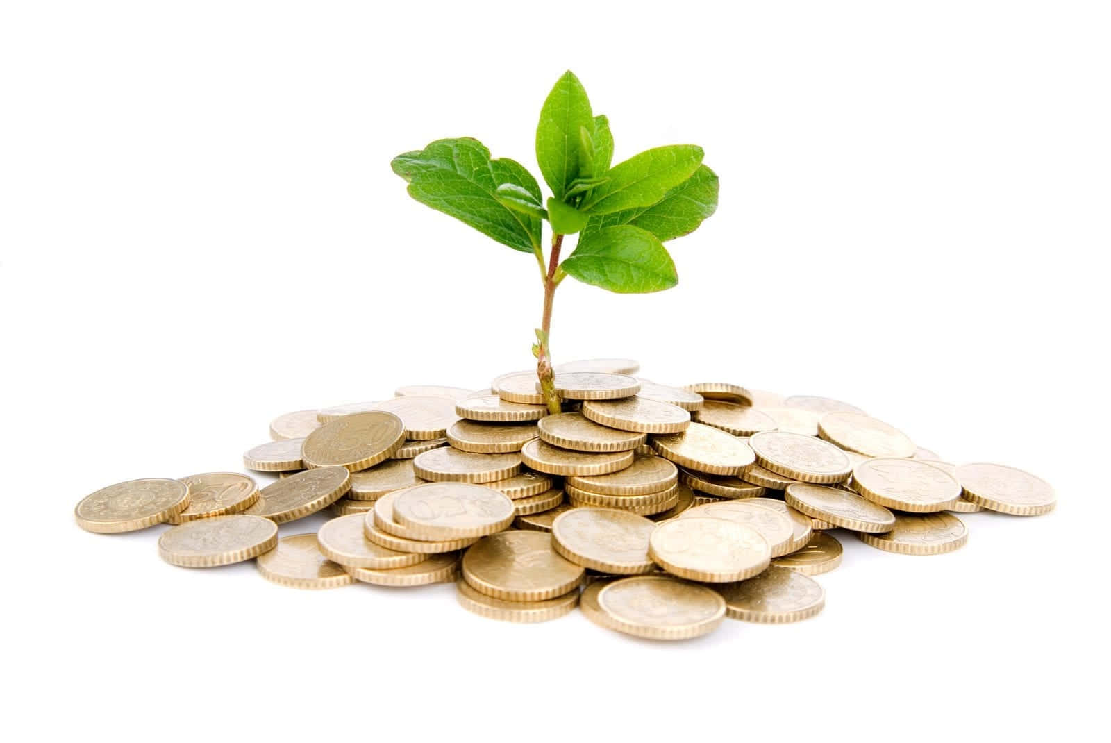 green economy, sapling, golden coins, HD Desktop Wallpaper