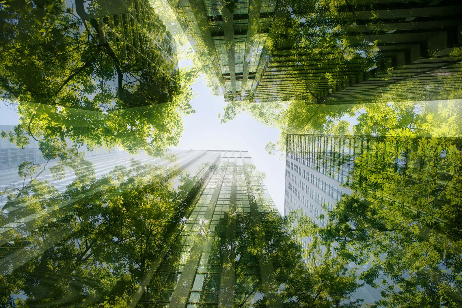 green buildings, glass skyscrapers, lush green trees, HD Desktop Wallpaper