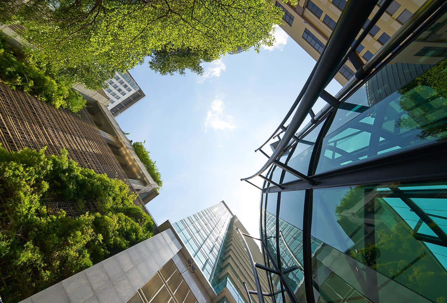 green buildings, modern glass skyscrapers, lush green trees, HD Desktop Wallpaper
