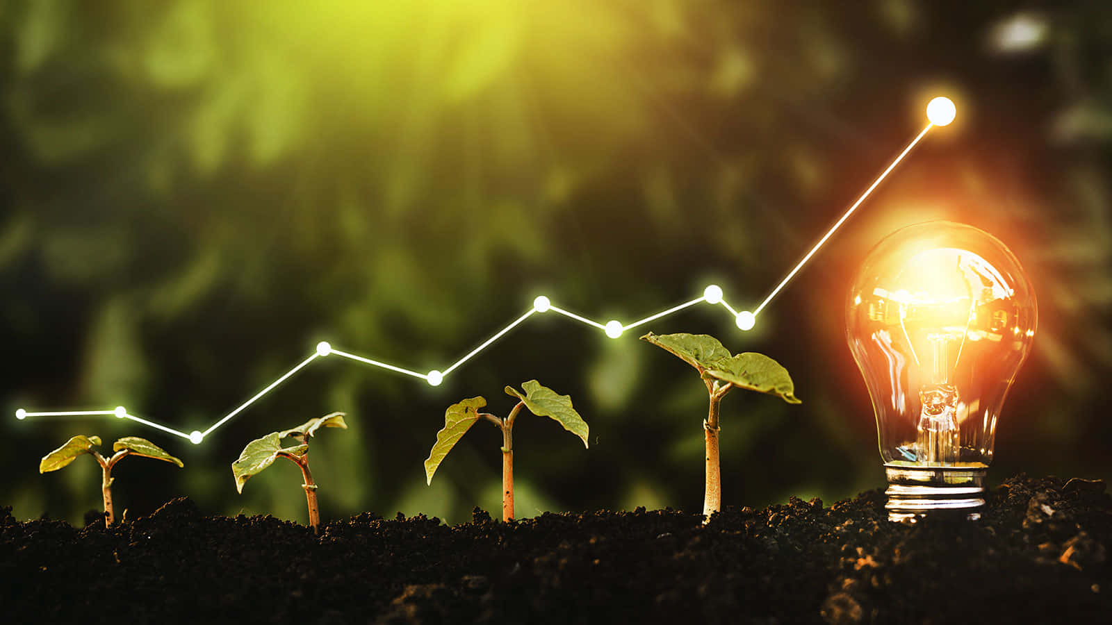 green finance, glowing lightbulb, growing seedlings, HD Desktop Wallpaper