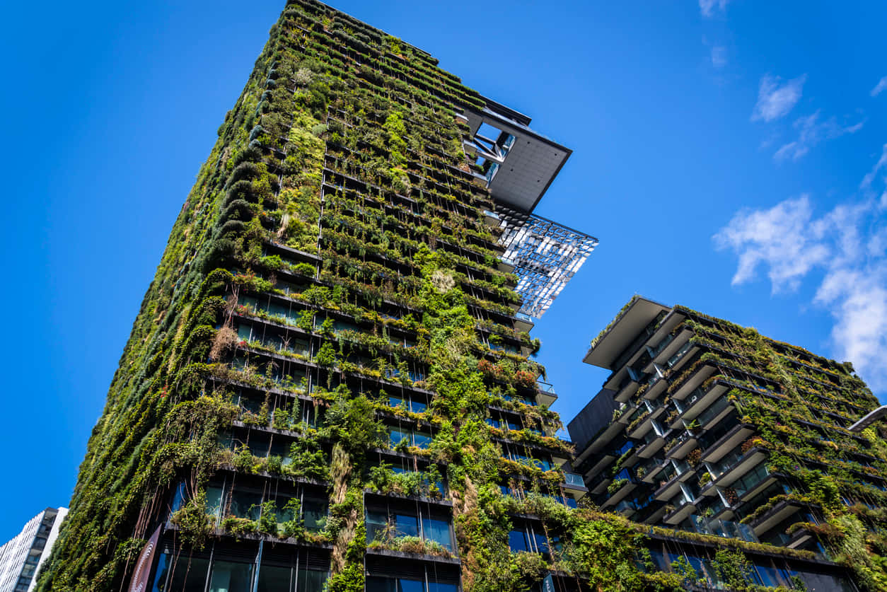 green buildings, towering skyscrapers, lush greenery, SD Desktop Wallpaper