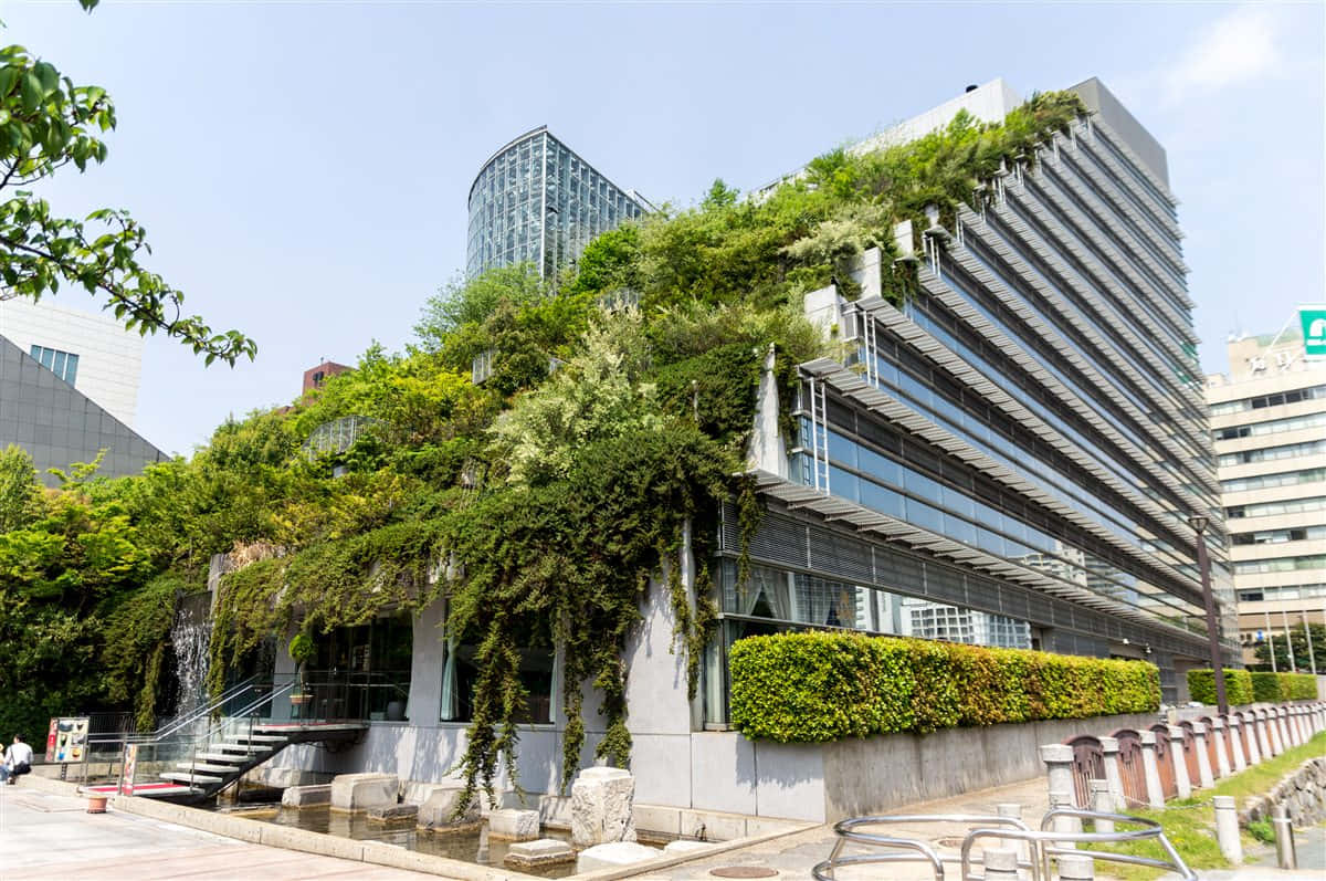 green buildings, modern building, lush green vines and shrubs, SD Desktop Wallpaper