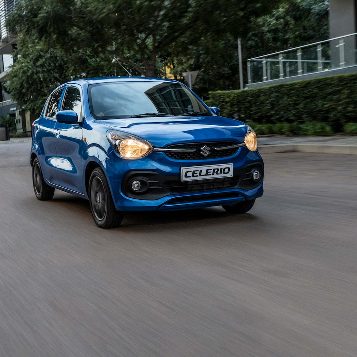 Suzuki Celerio, vibrant blue, tree-lined urban street, HD Desktop Wallpaper