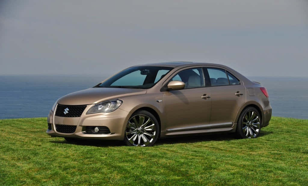 Suzuki Kizashi, bronze, grassy cliff, SD Desktop Wallpaper
