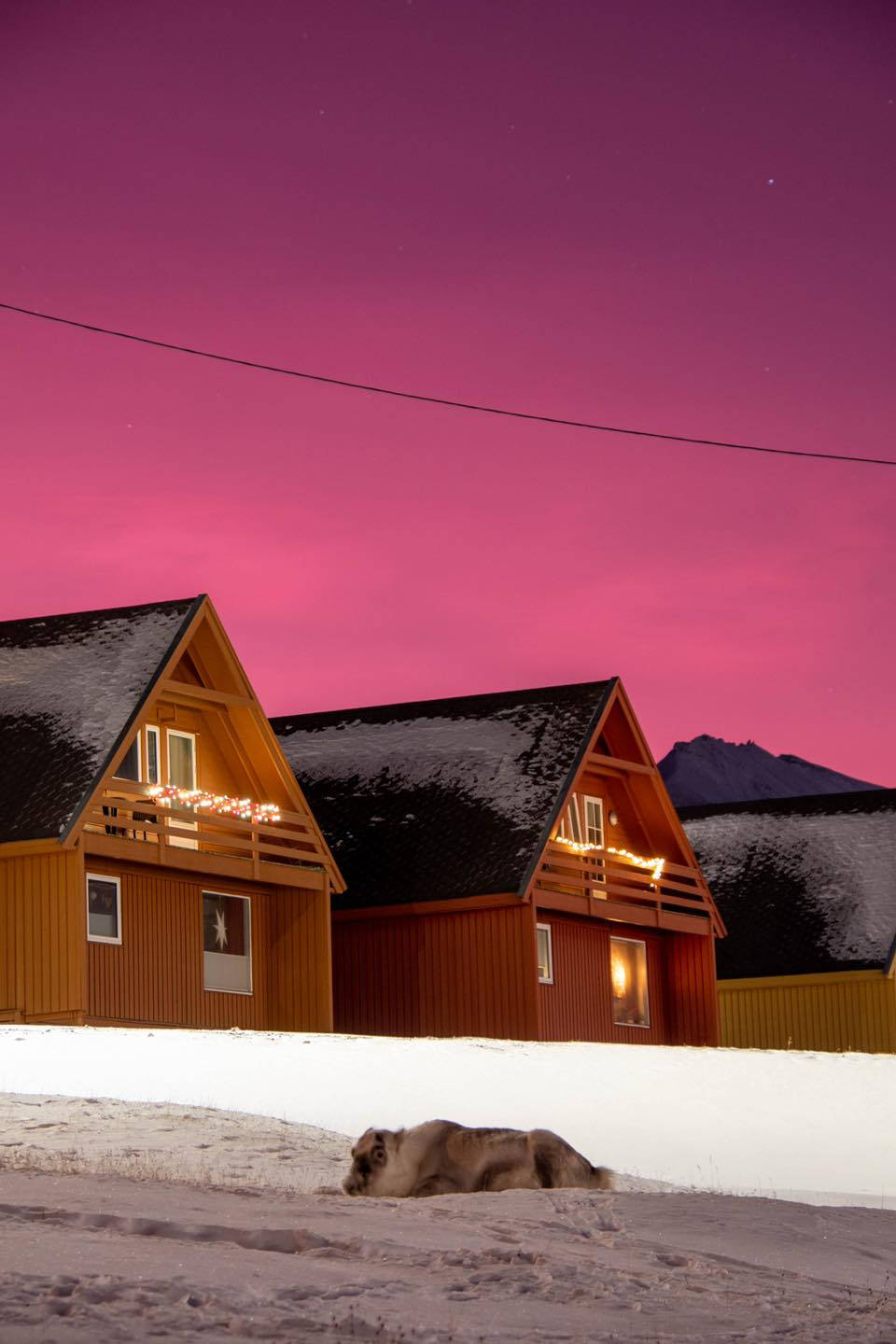 Svalbard, dark pink night sky, vibrant magenta aurora sky, HD Phone Wallpaper