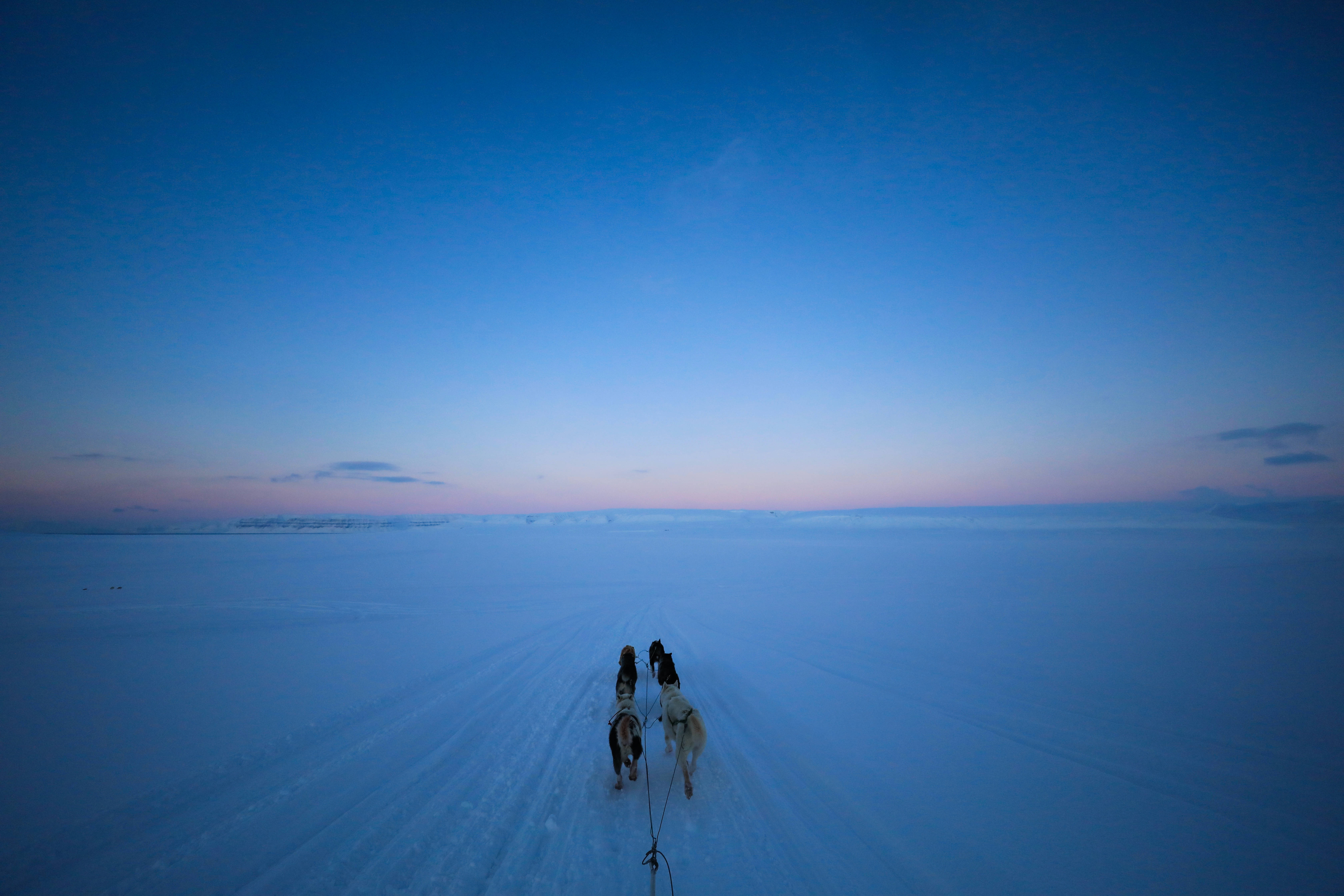 Svalbard, pink sky, blue sky, 5K Desktop Wallpaper