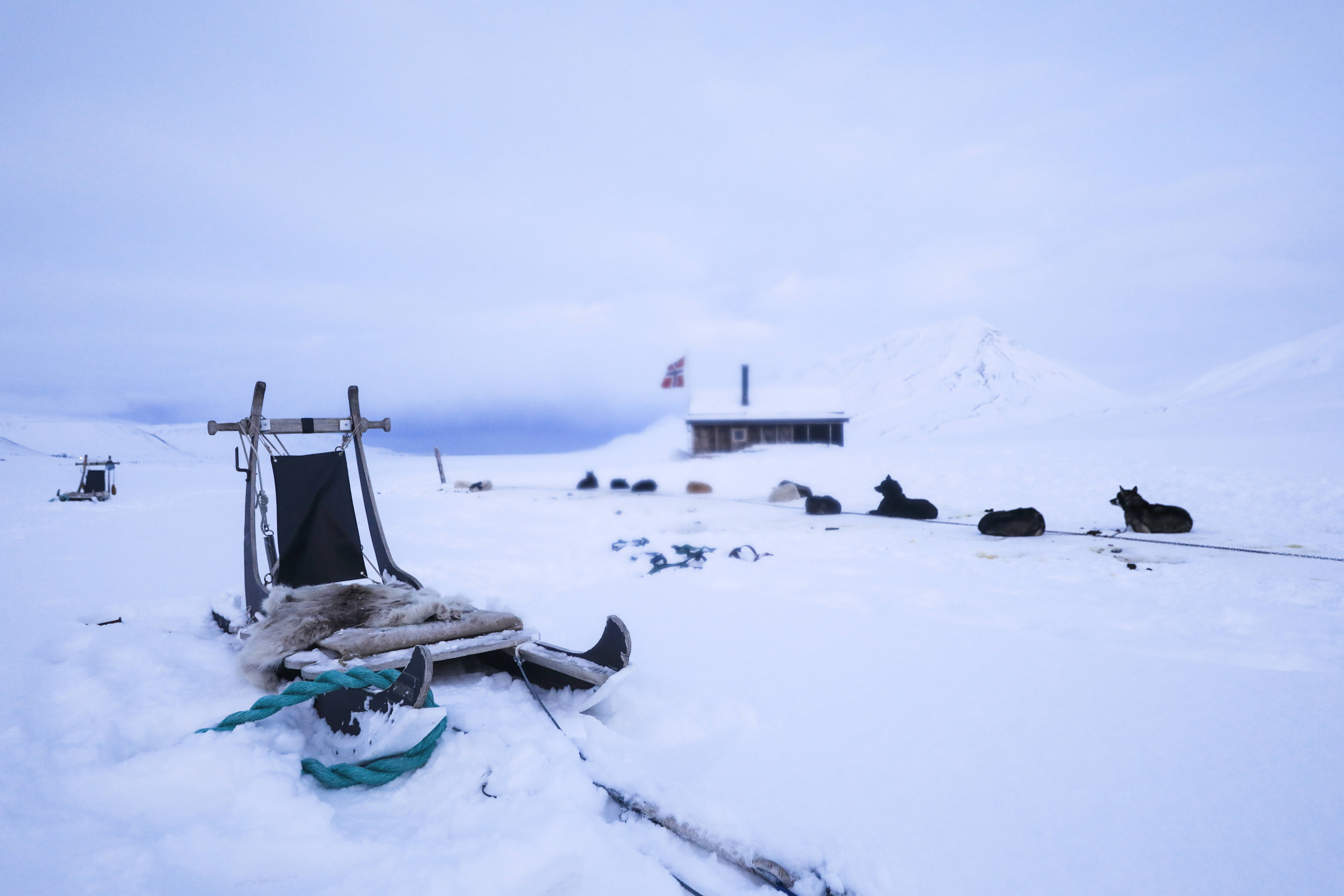Svalbard, ice sleds, snow-covered sled, 5K Desktop Wallpaper