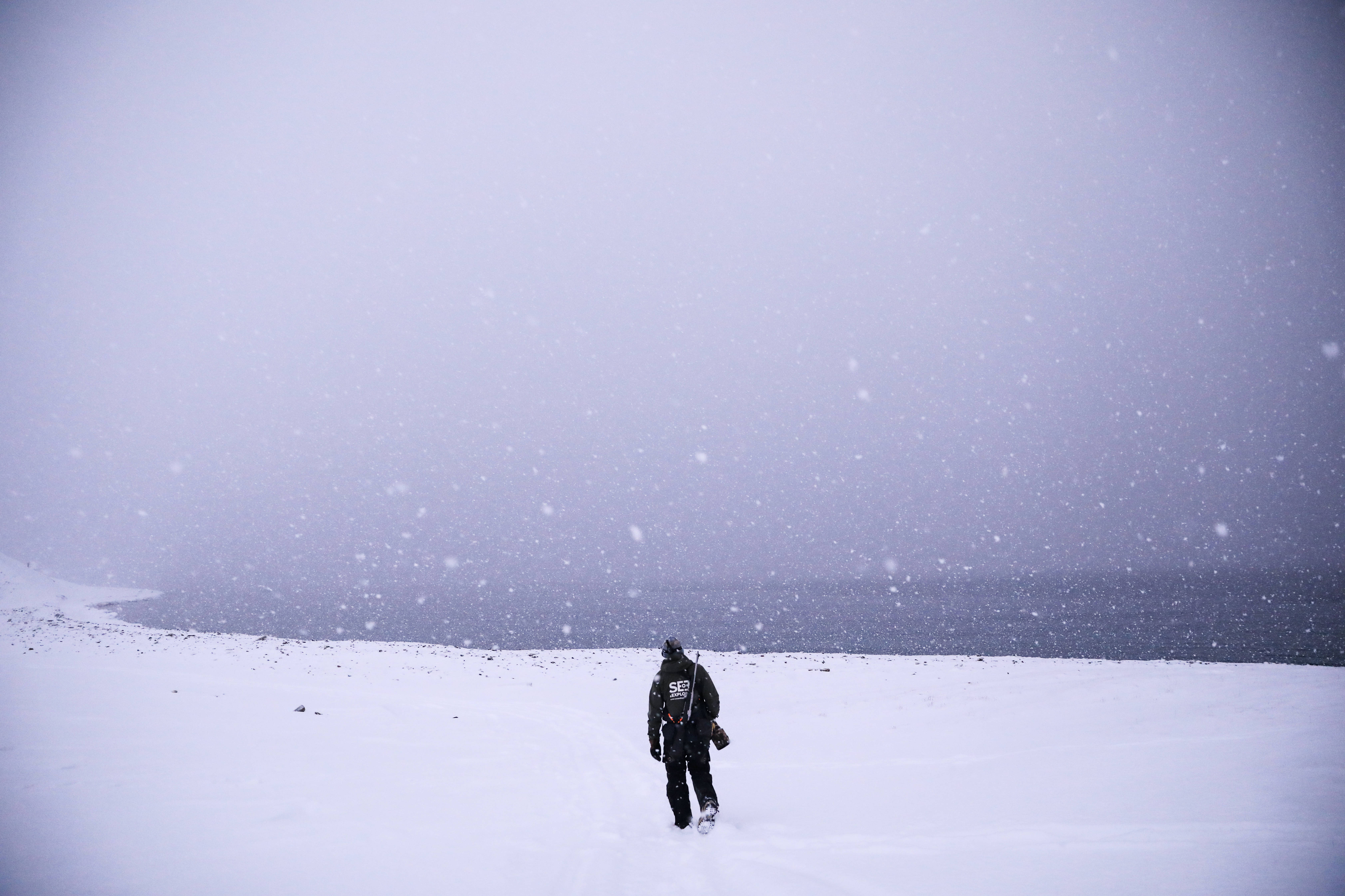 Svalbard, falling snow, snowy field, 5K Desktop Wallpaper