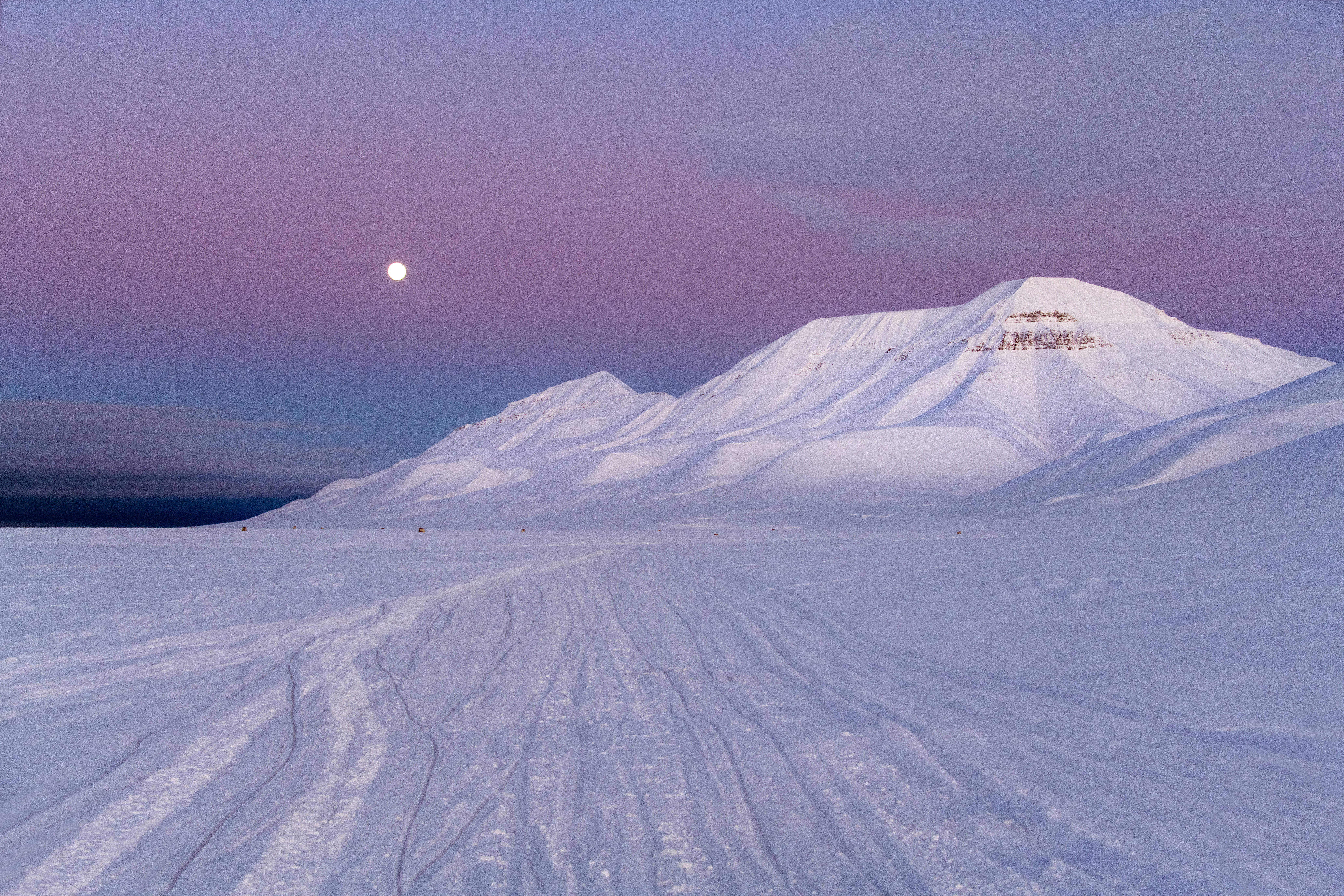 Svalbard, purple twilight sky, snowy mountain range, 8K Desktop Wallpaper