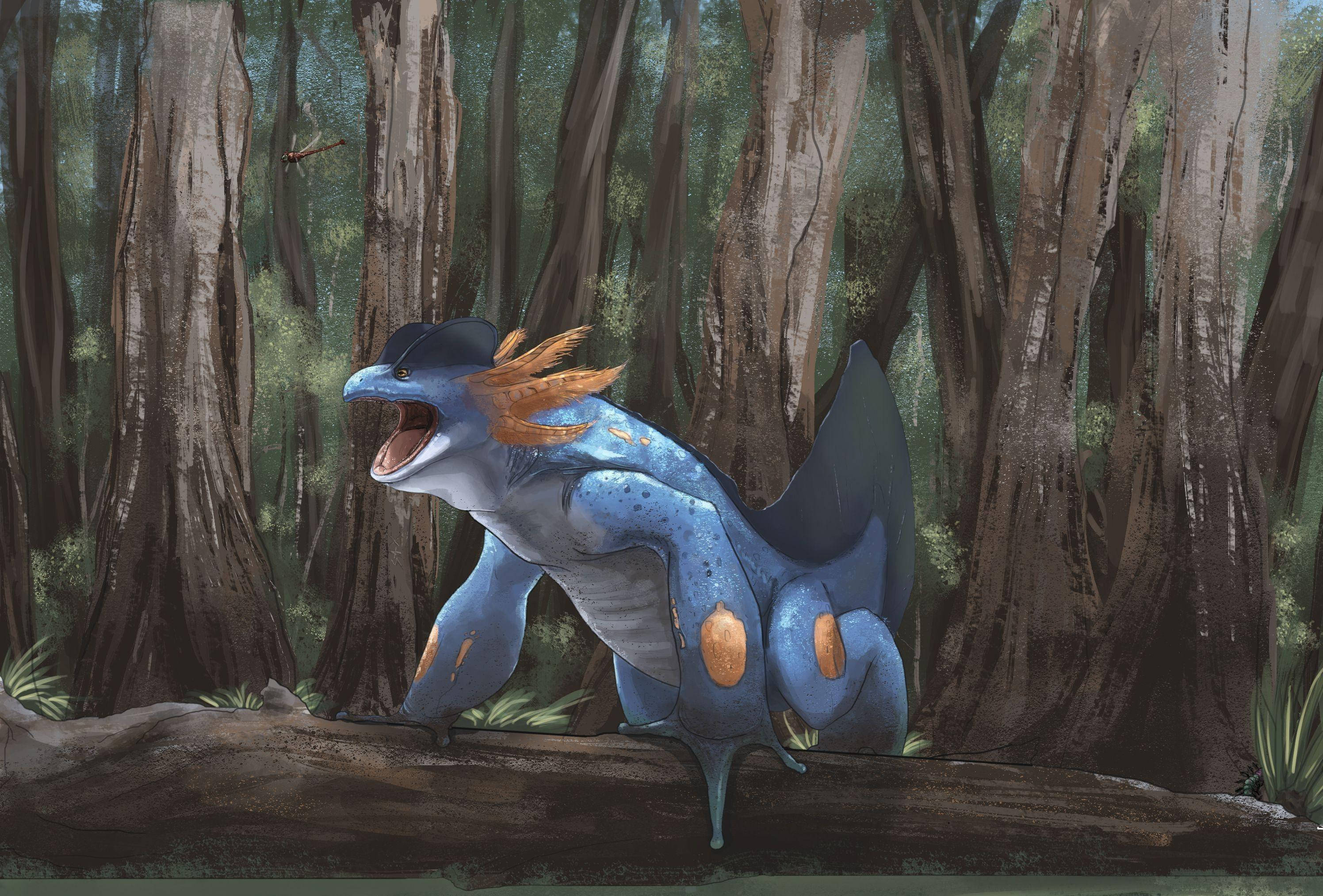 Swampert, forest, log, 2K Desktop Wallpaper