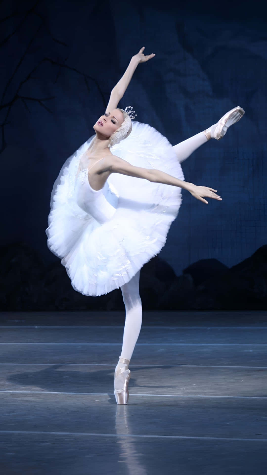 Swan Lake, ballerina, white feathered tutu, Full HD Phone Wallpaper